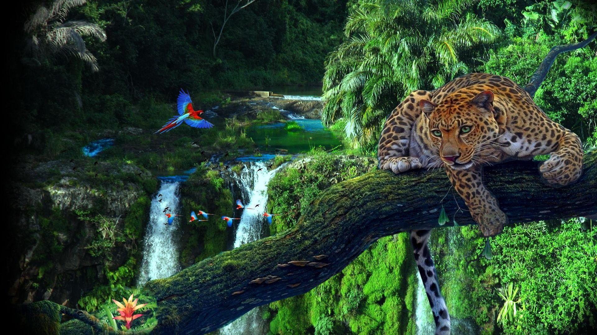 Fantasy Jungle Full HD Wallpaper and Background Imagex1080