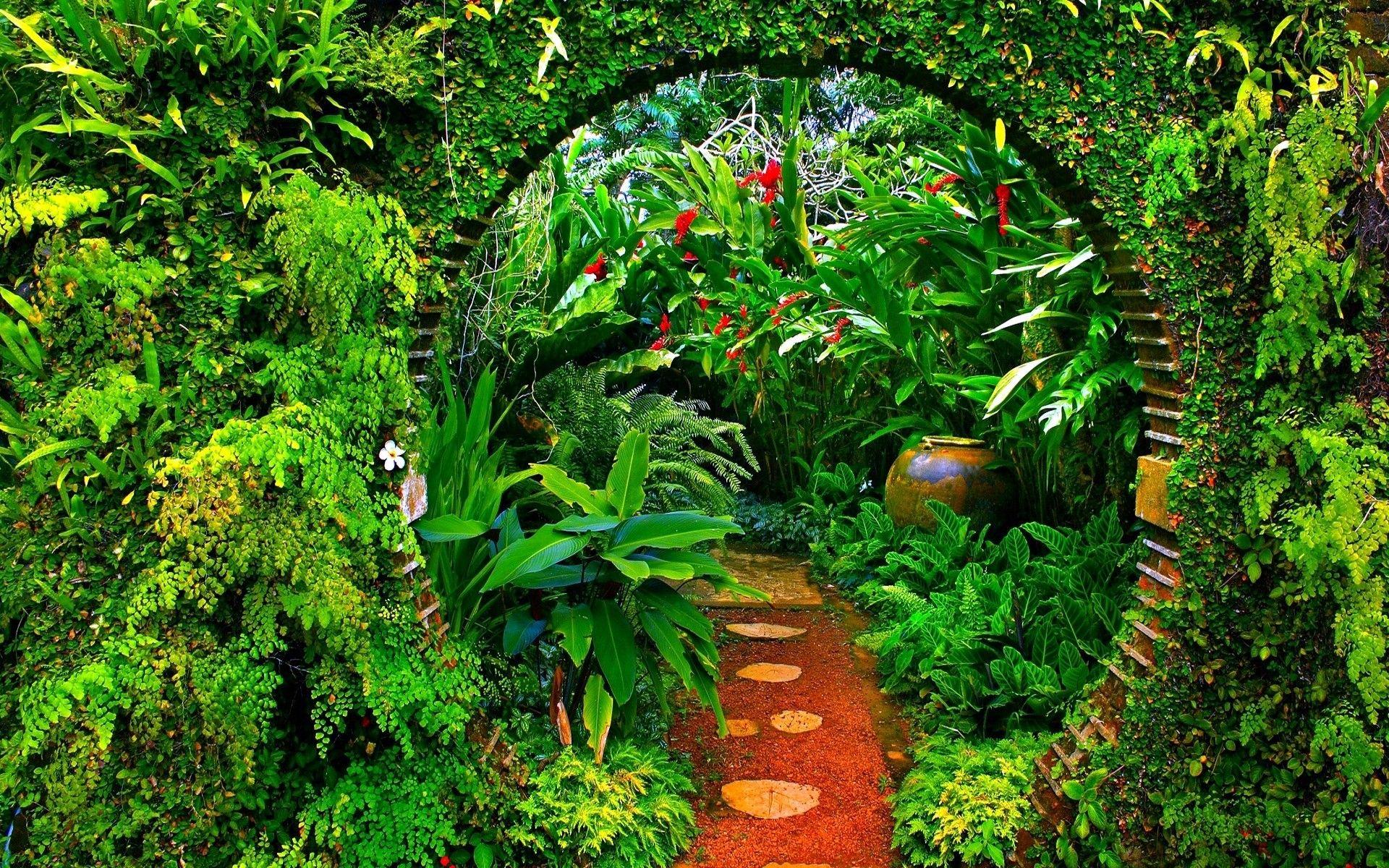 Forest: Jungle Bow Botanical Garden Plants Path Green Amazon Forest