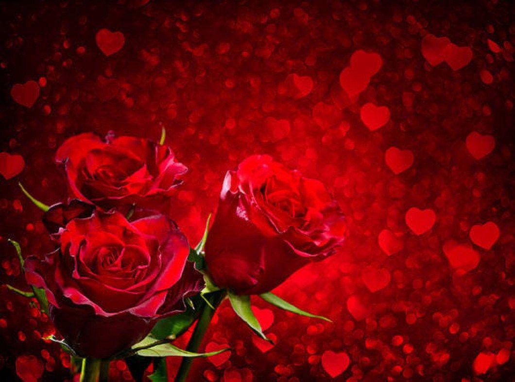 Wallpapers Red Roses Heart Wallpaper Cave