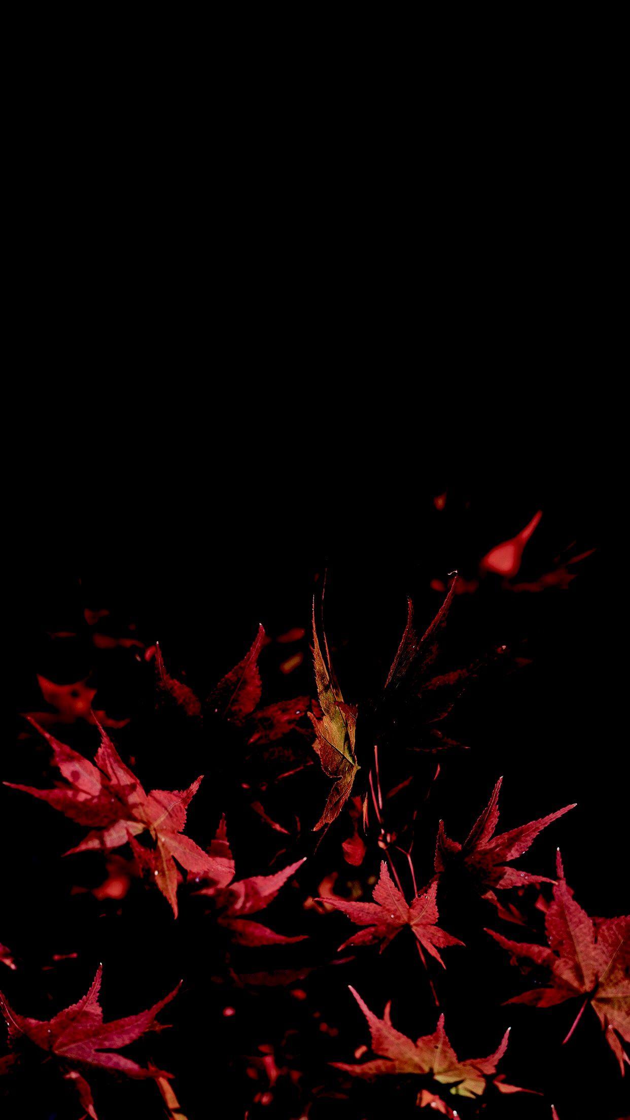 My current iPhone X wallpapers [1242 x 2208]. Adjusted the black