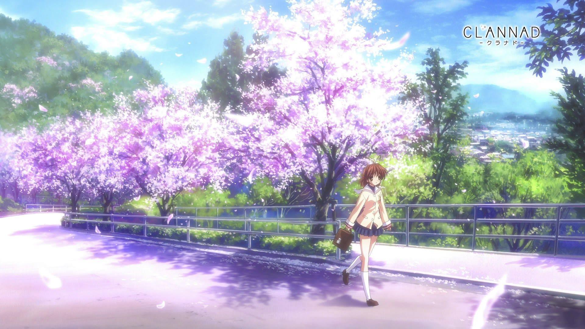 Anime Cherry Blossom Wallpaper 23 HD Wallpaper