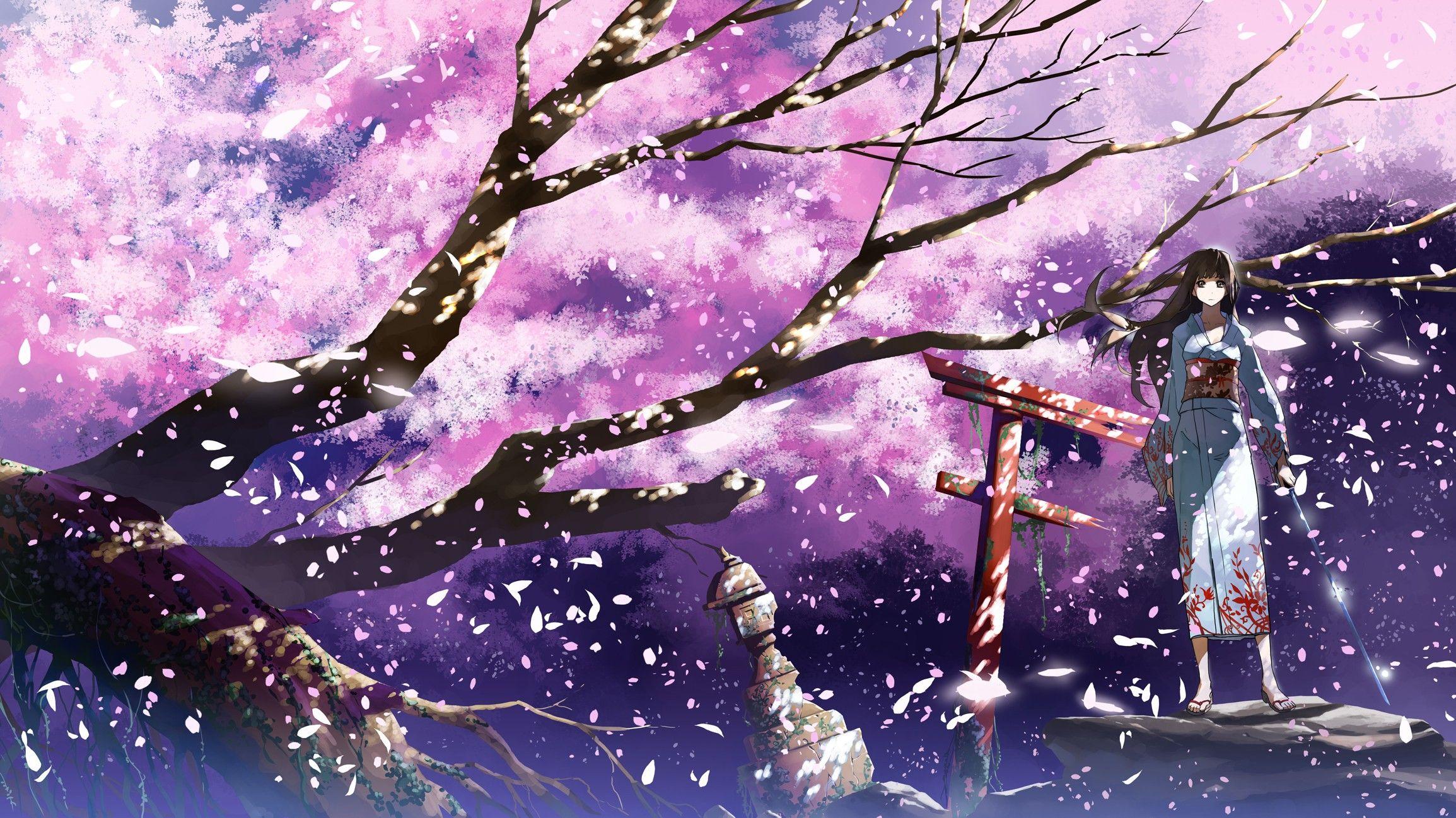 Anime Wallpaper 2309x1298 brunettes cherry blossoms katana kimono