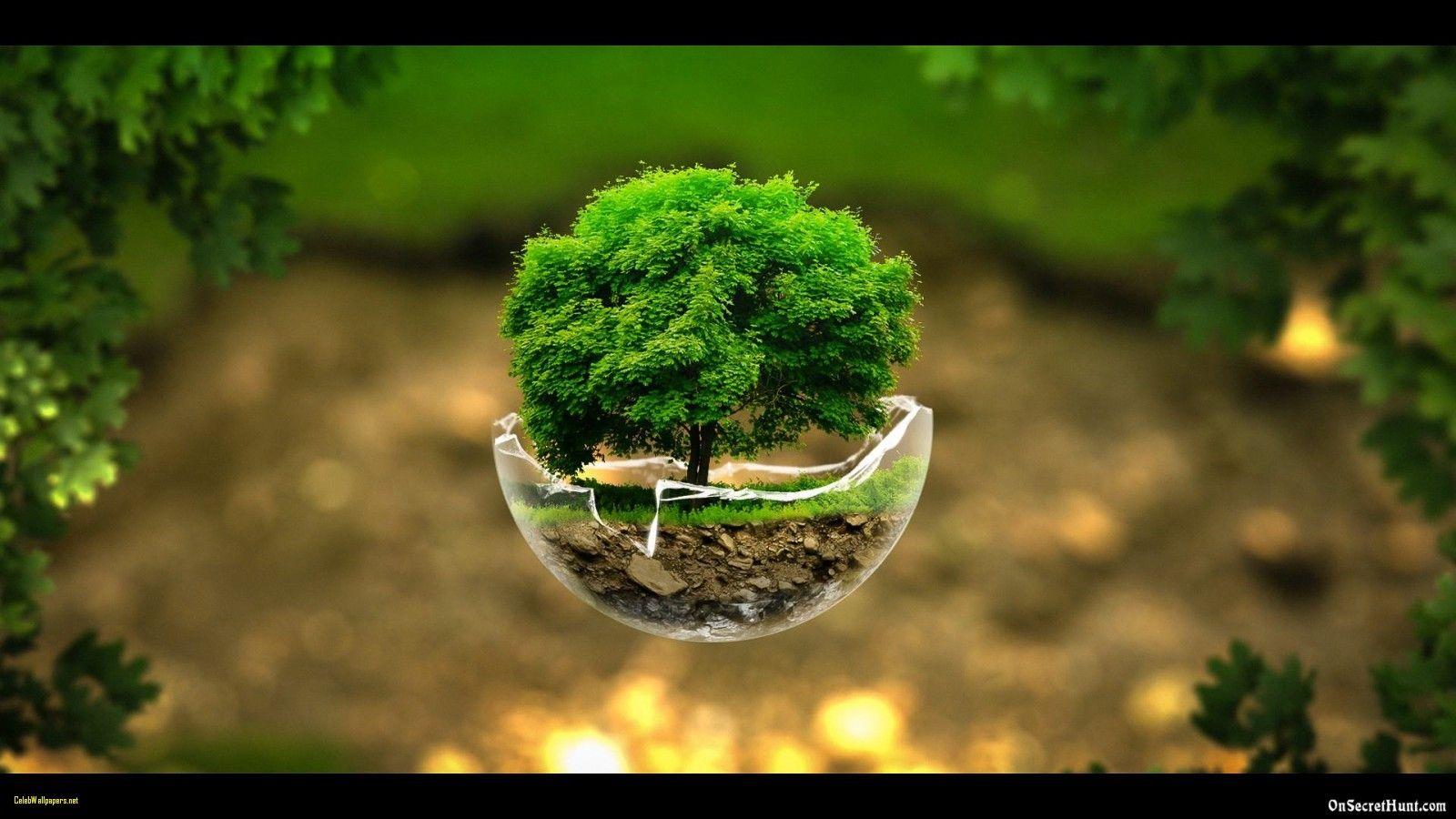 Hd Wallpaper Of Nature Wallpaper Nature Full Size Desktop Wallpaper