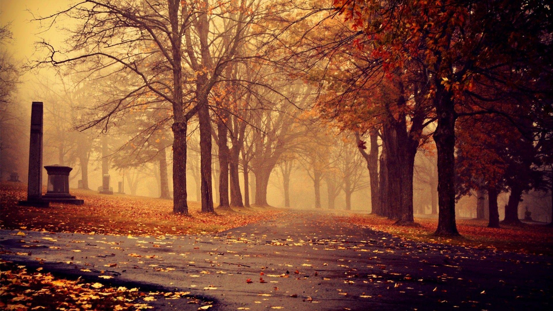 Fall Nature Photography 22849