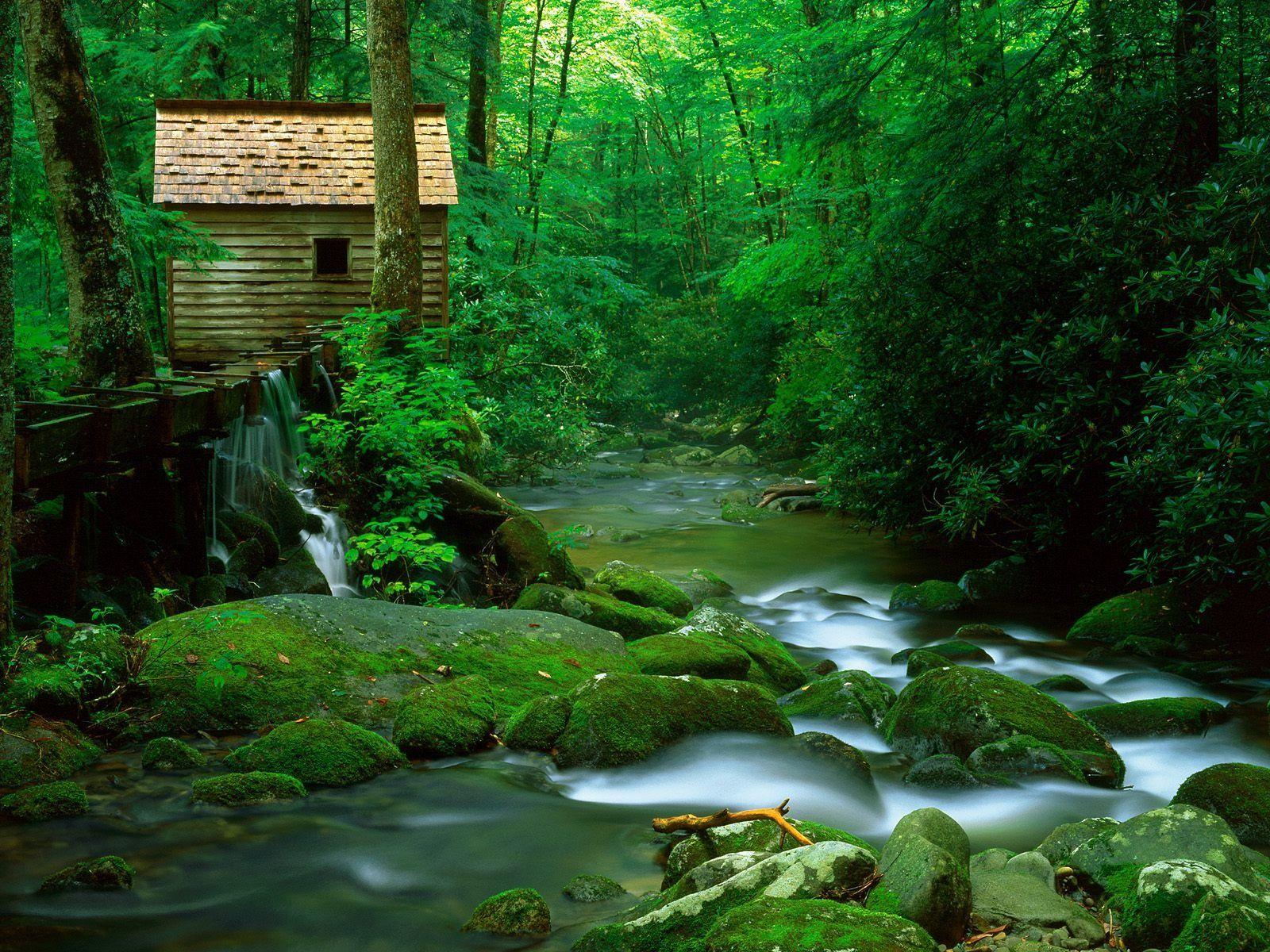 Forest Watermill Wallpaper Rivers Nature Wallpaper in jpg