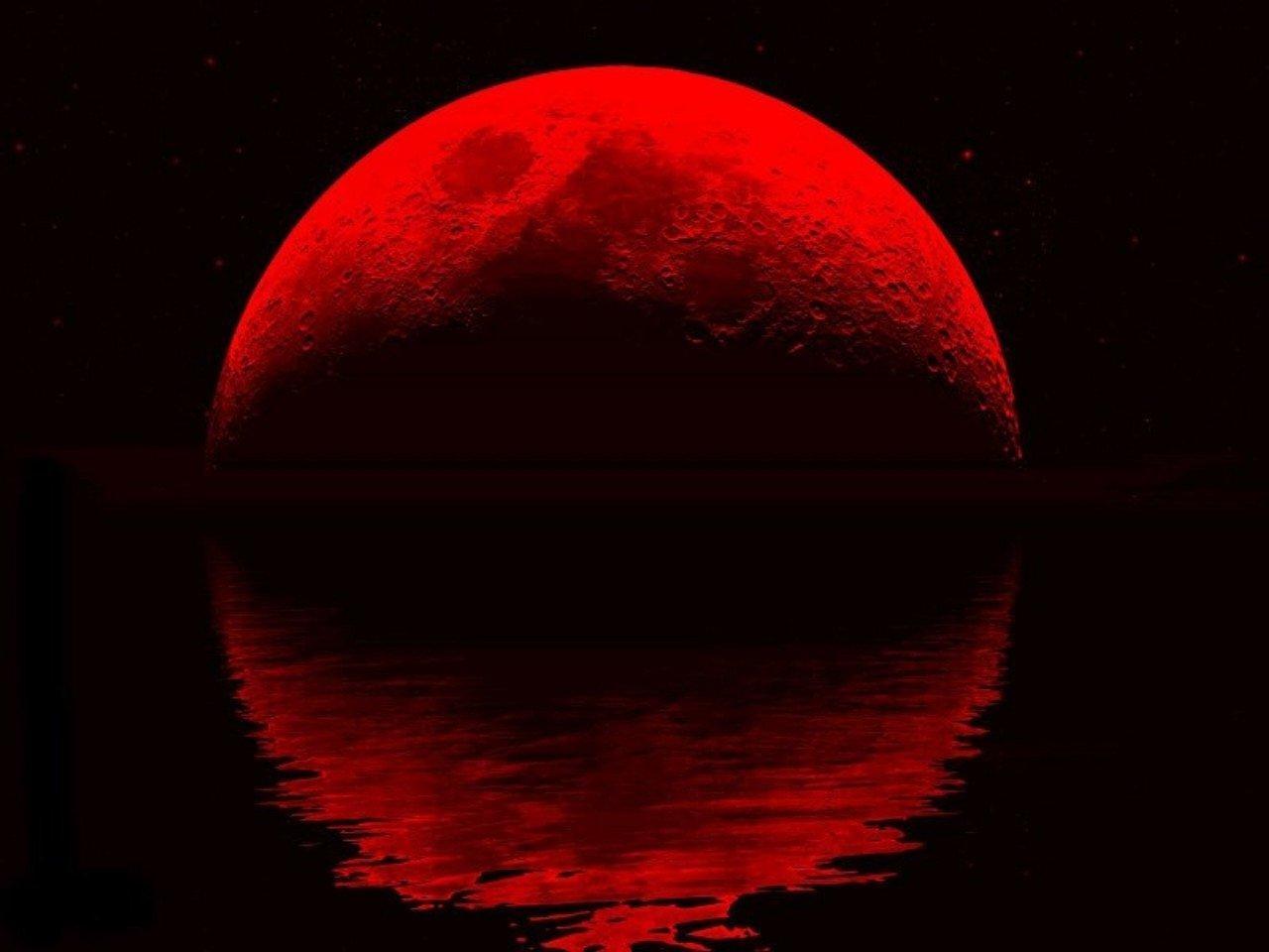 Blood Moon Wallpaper