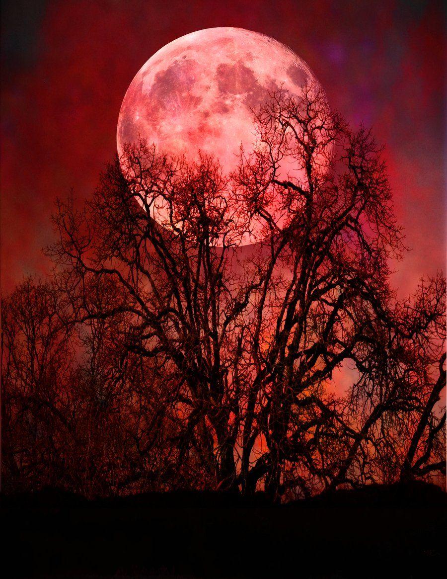 Vampire Blood Moon Wallpaper