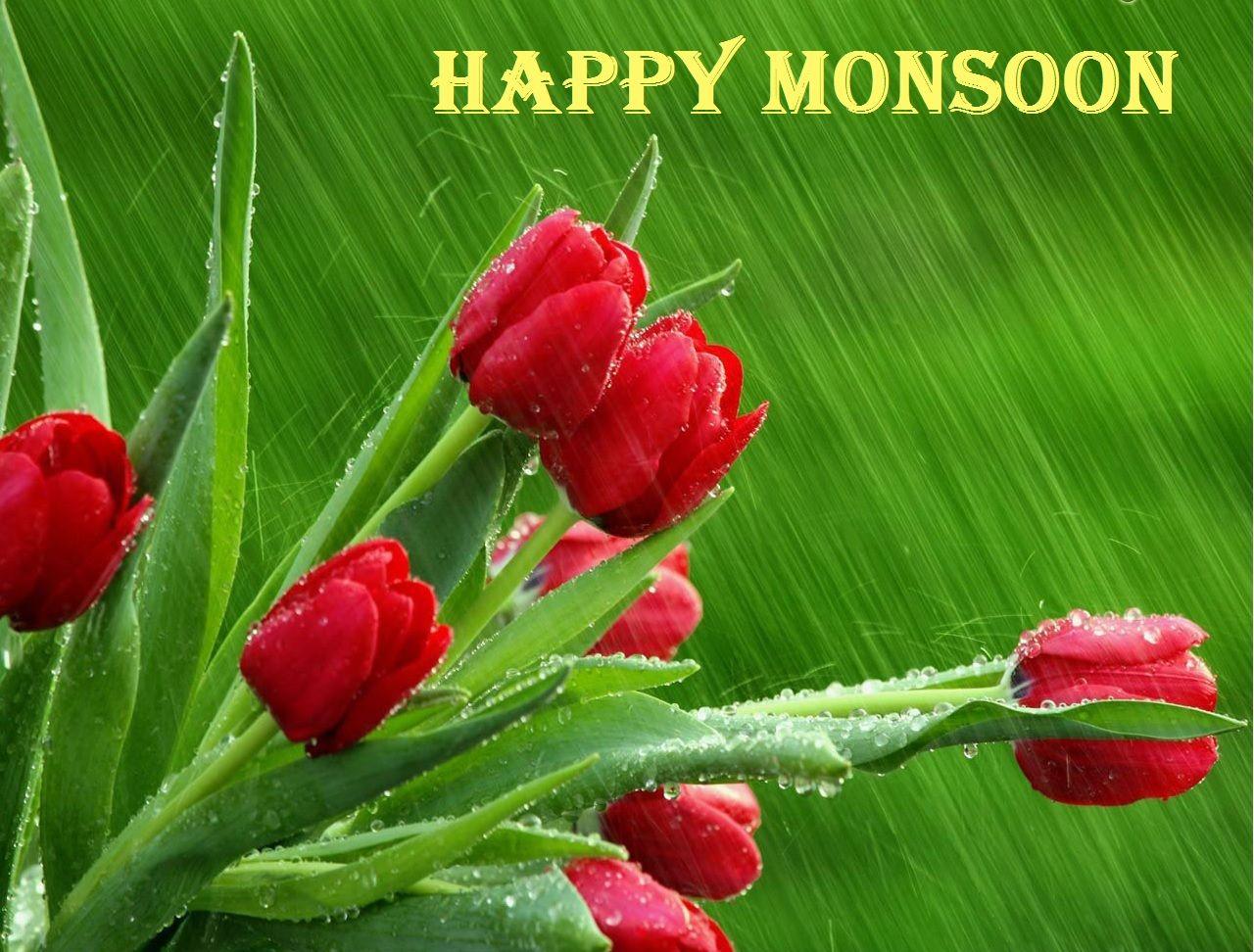 Khushi For Life: Enjoy Love of Nature Monsoon Wallpaper