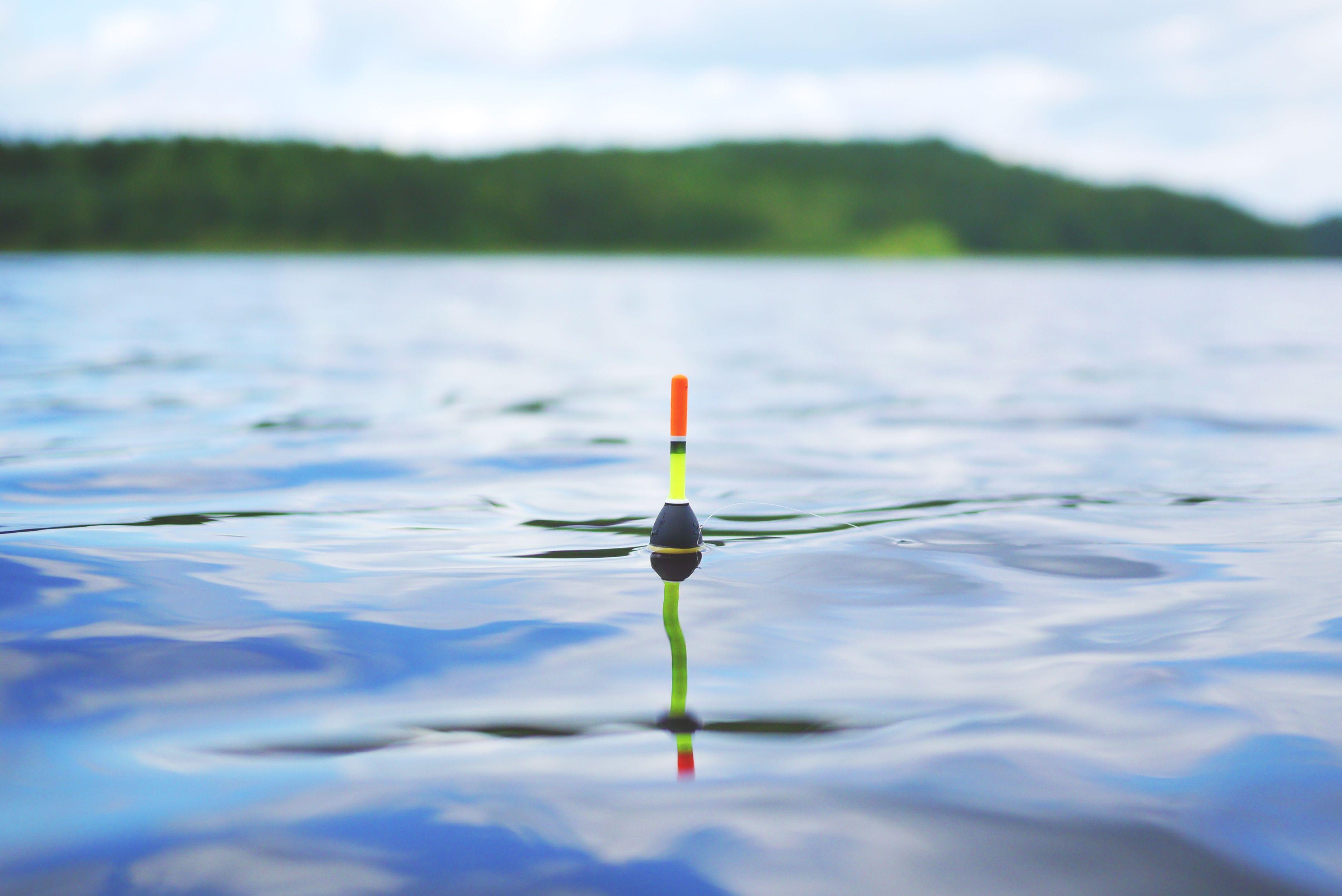 Fishing float in a lake HD Wallpaper