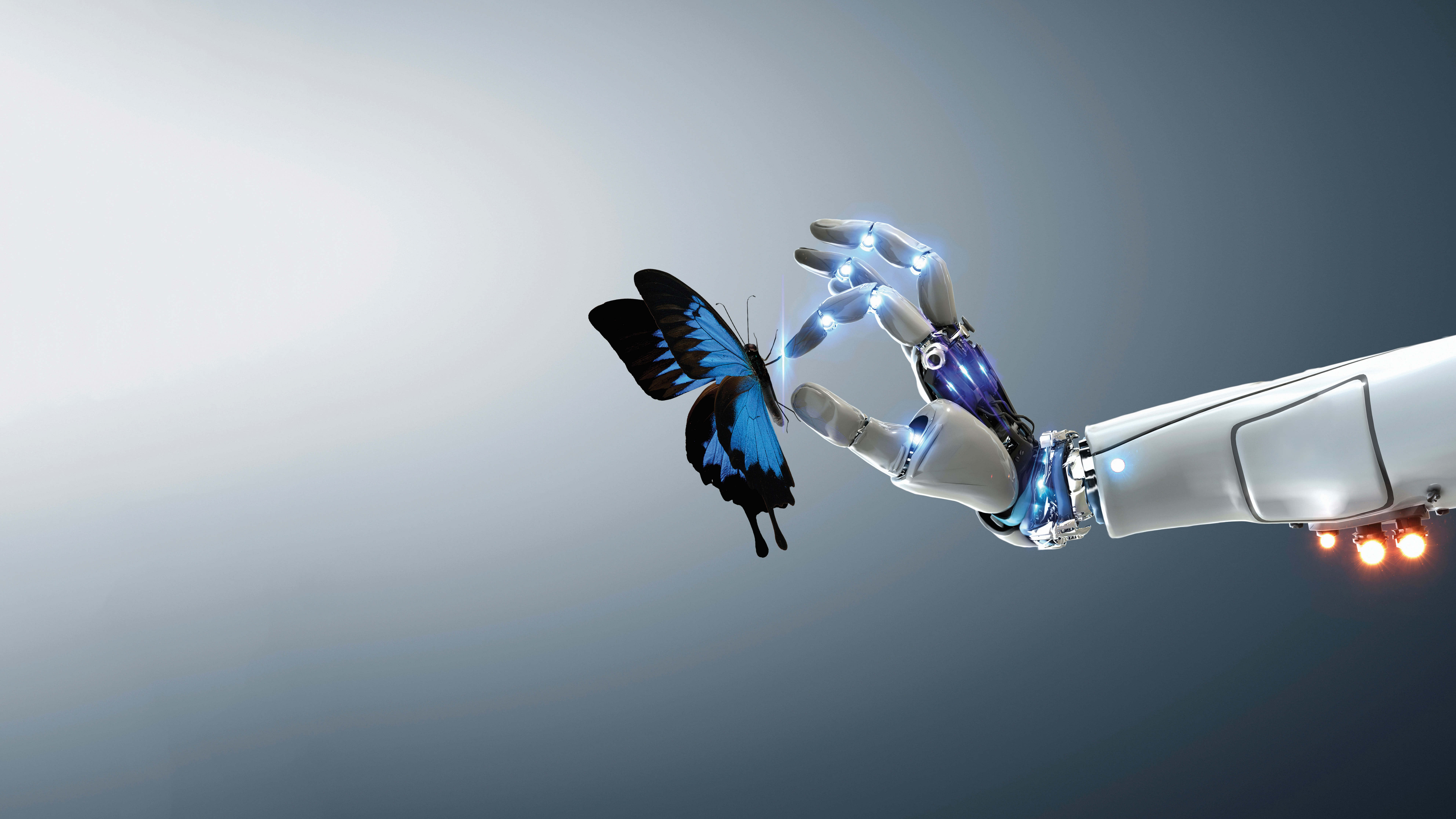 Technology And Nature Robot With A Butterfly UHD 8K Wallpaper