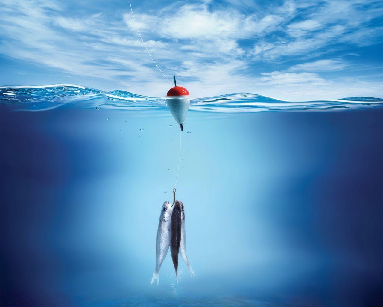 Fishing HD Wallpaper