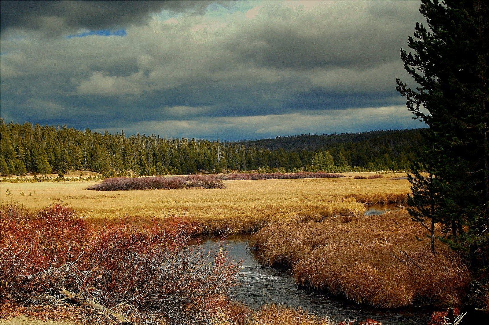 Fly Fishing Wallpaper, 47 Fly Fishing Wallpaper, GI