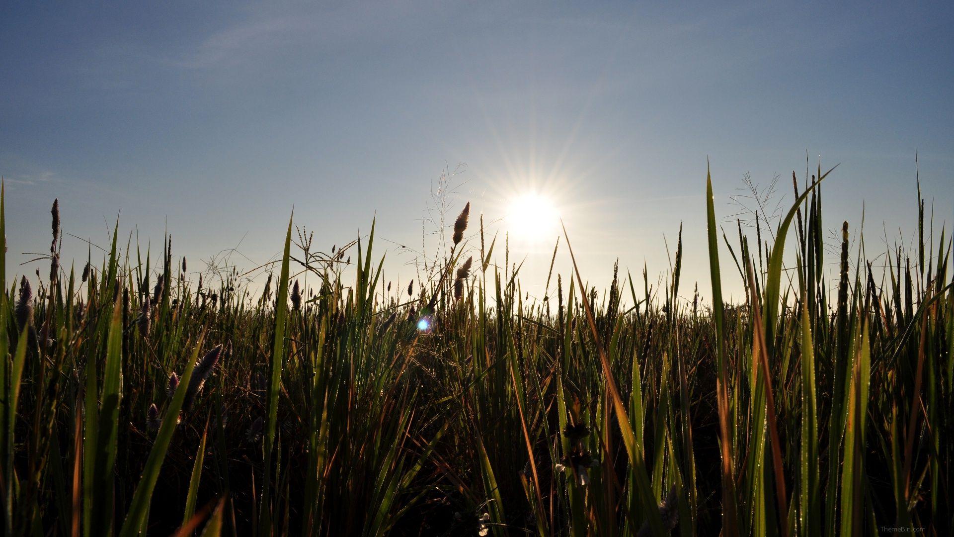 Perfect Wallpapers HD Wallpaper Cave