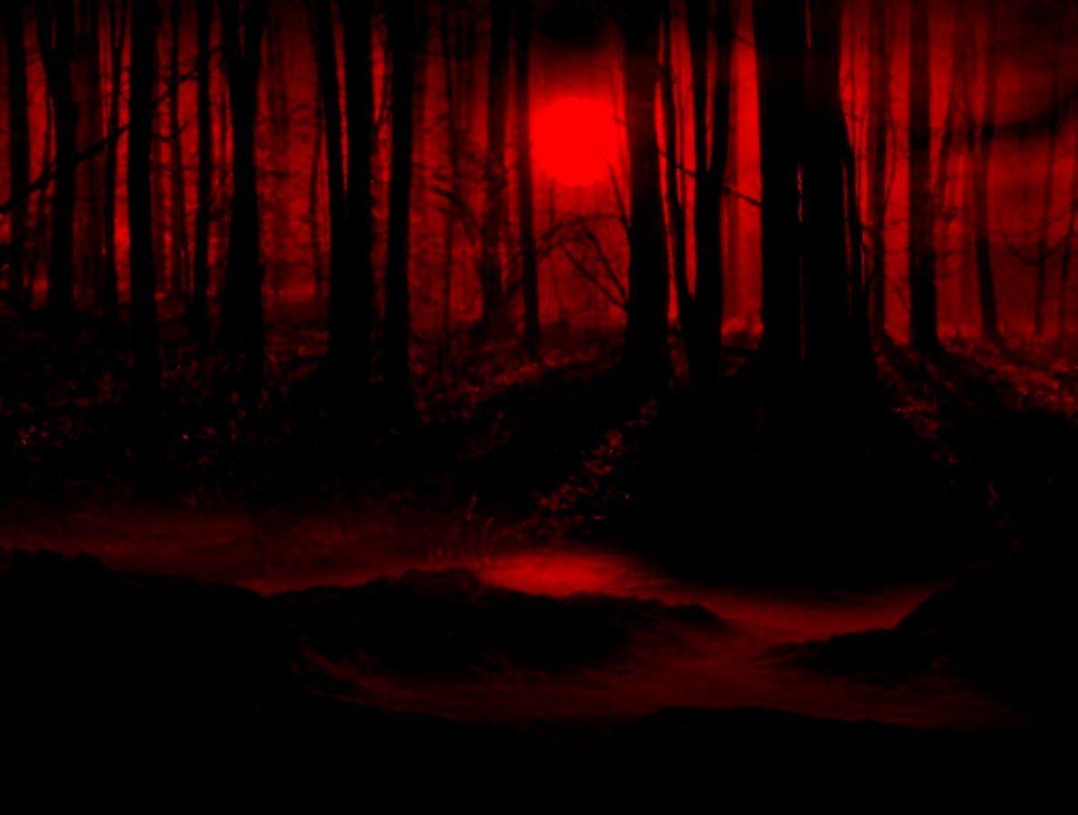Red Wallpaper Dark Forest HD. Image Wallpaper Collections