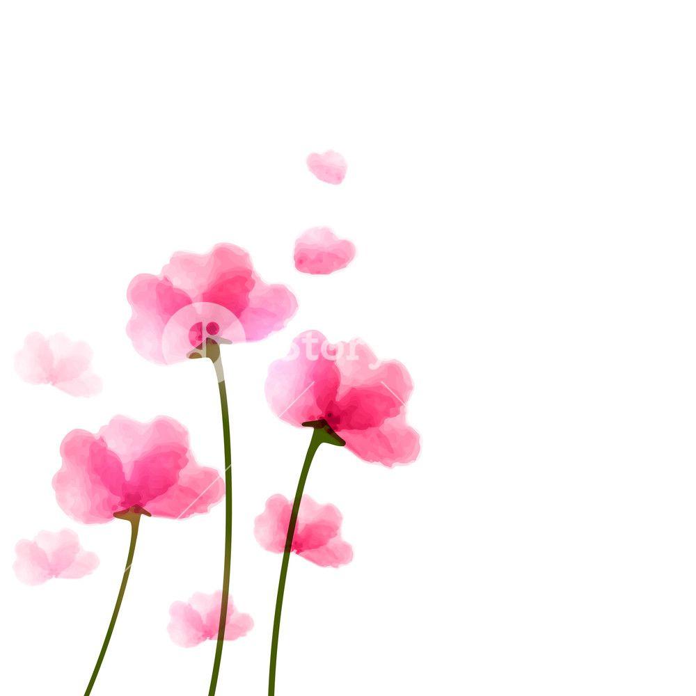 Beautiful creative pink flowers in heart shape on white background