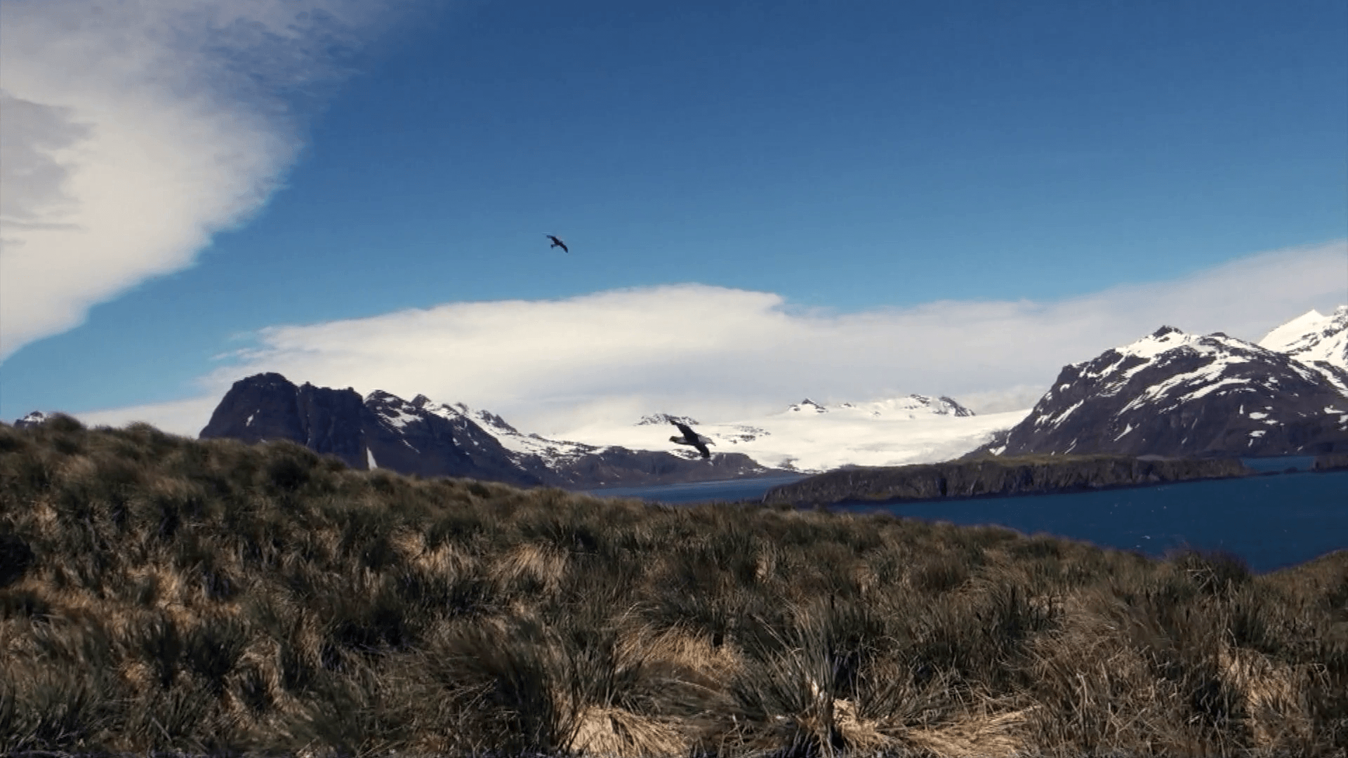 Landscape of snow mountain panorama of Falkland Islands Antarctica