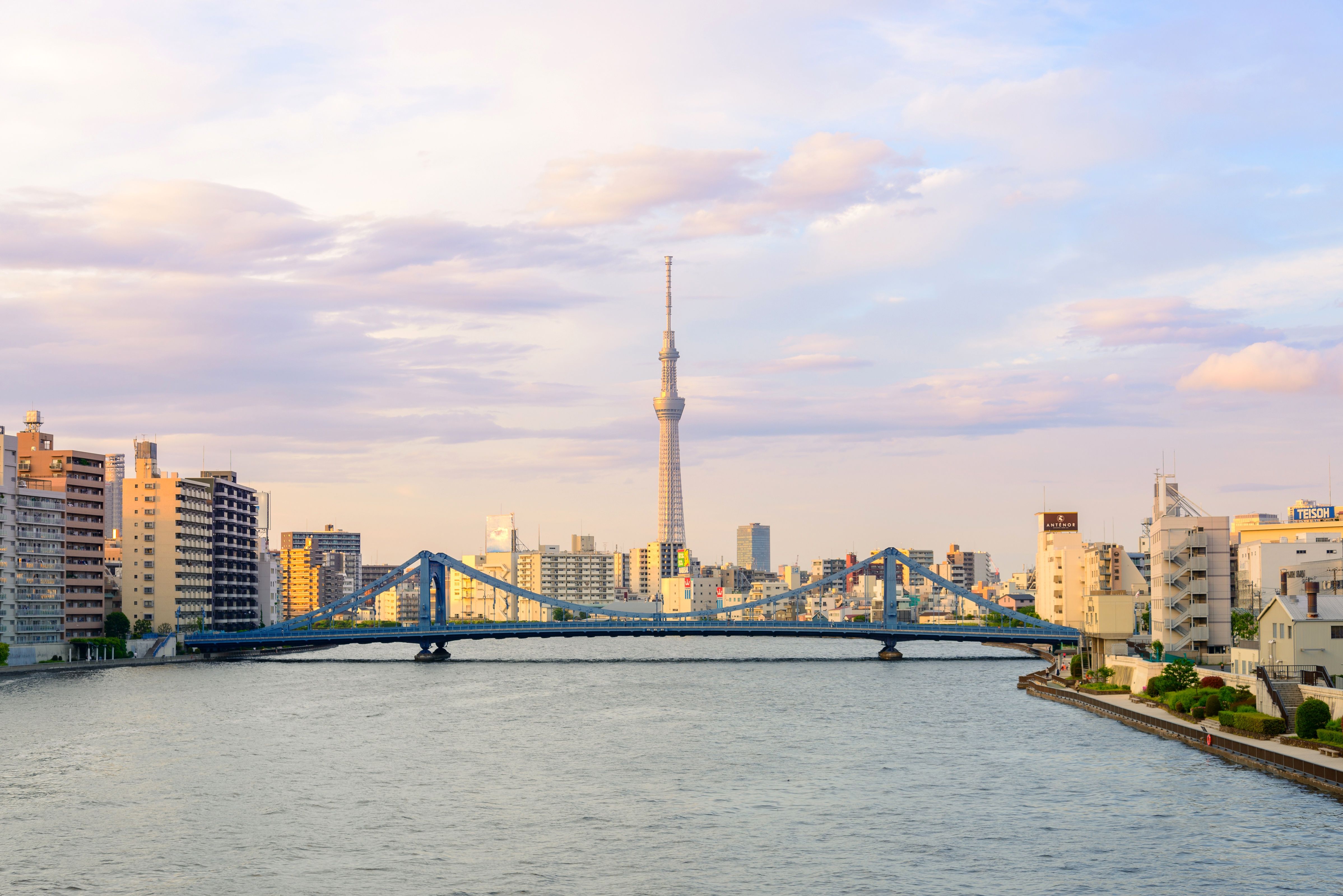 Panorama of the city of Tokyo against the background of the river