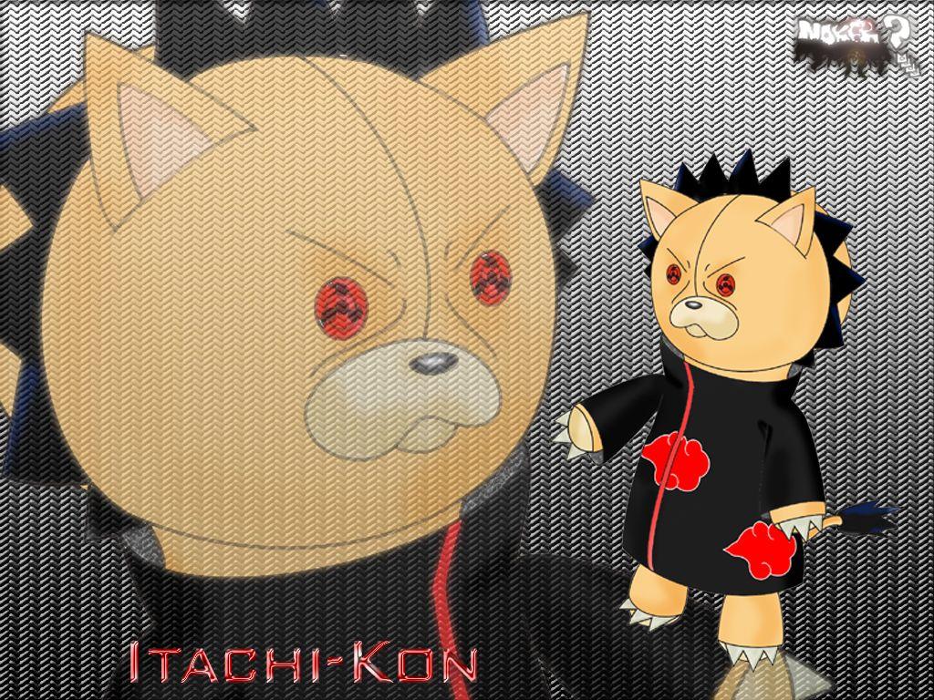 Itachi Kon Wallpaper