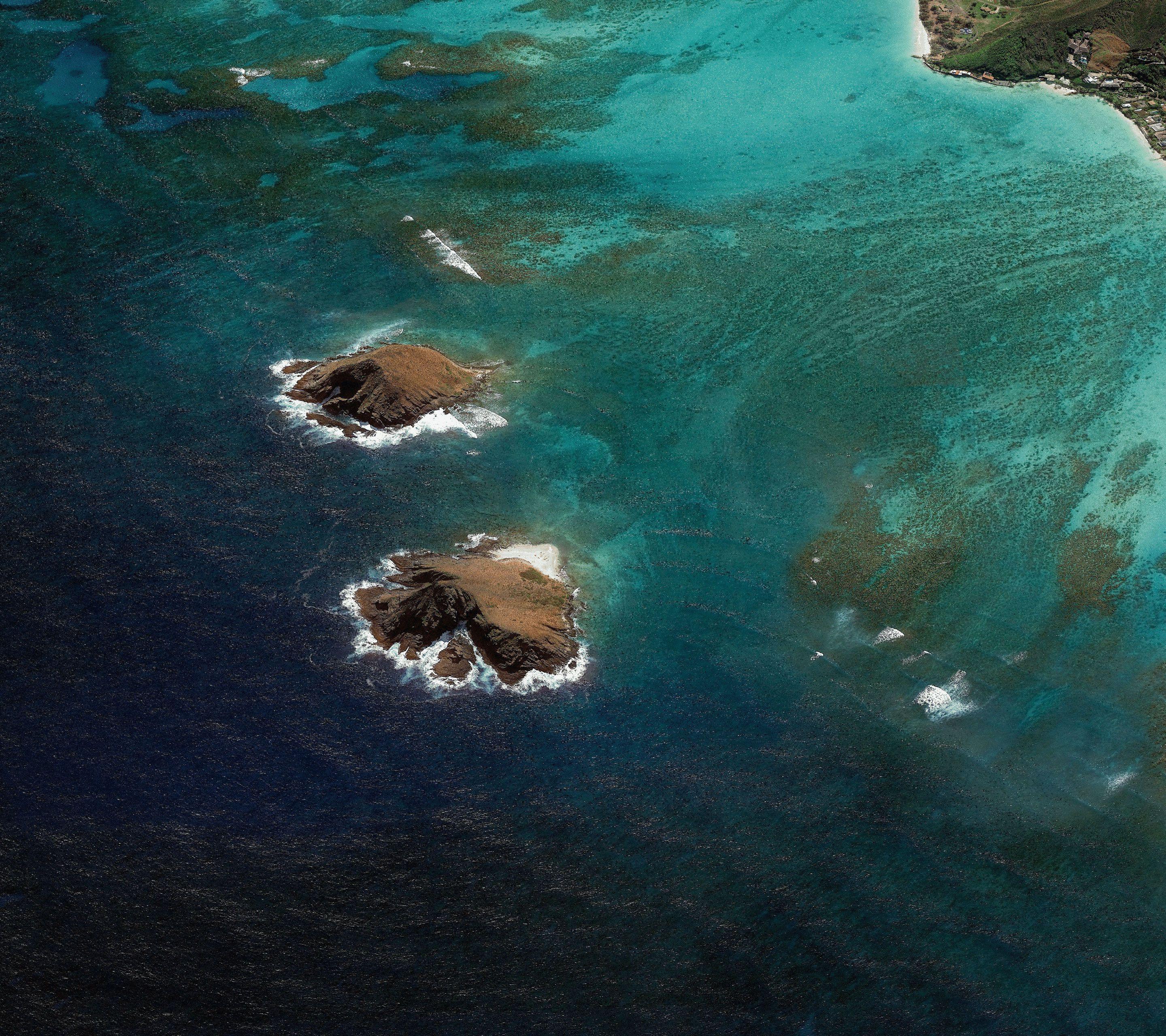 Download Android Oreo Wallpaper in Quad HD (Stock Wallpaper)