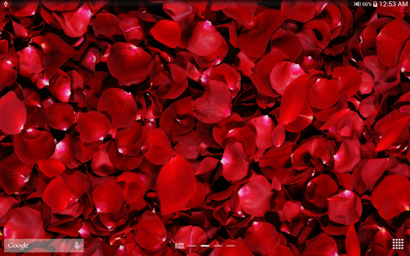 Live 3D Rose Wallpaper Background & Wallpaper