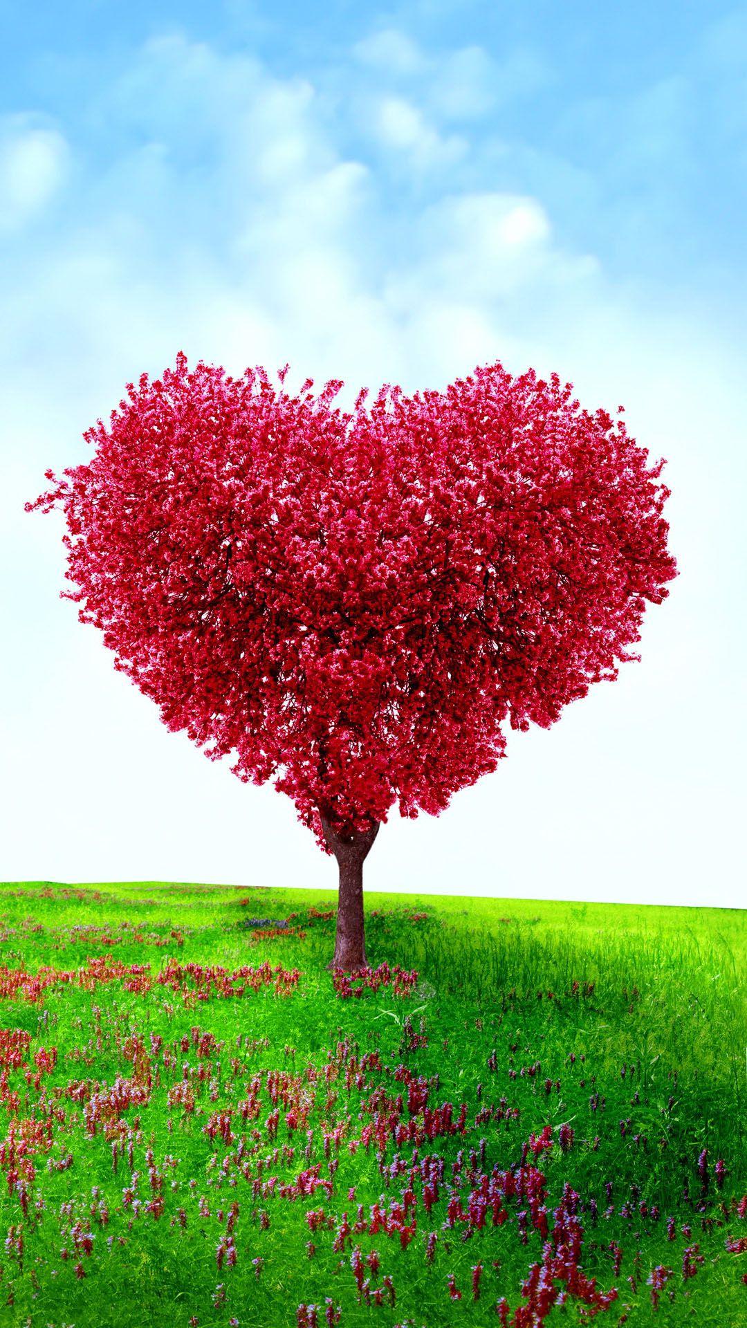 Heart Shaped Tree Valentines Day Love Android Wallpaper free download