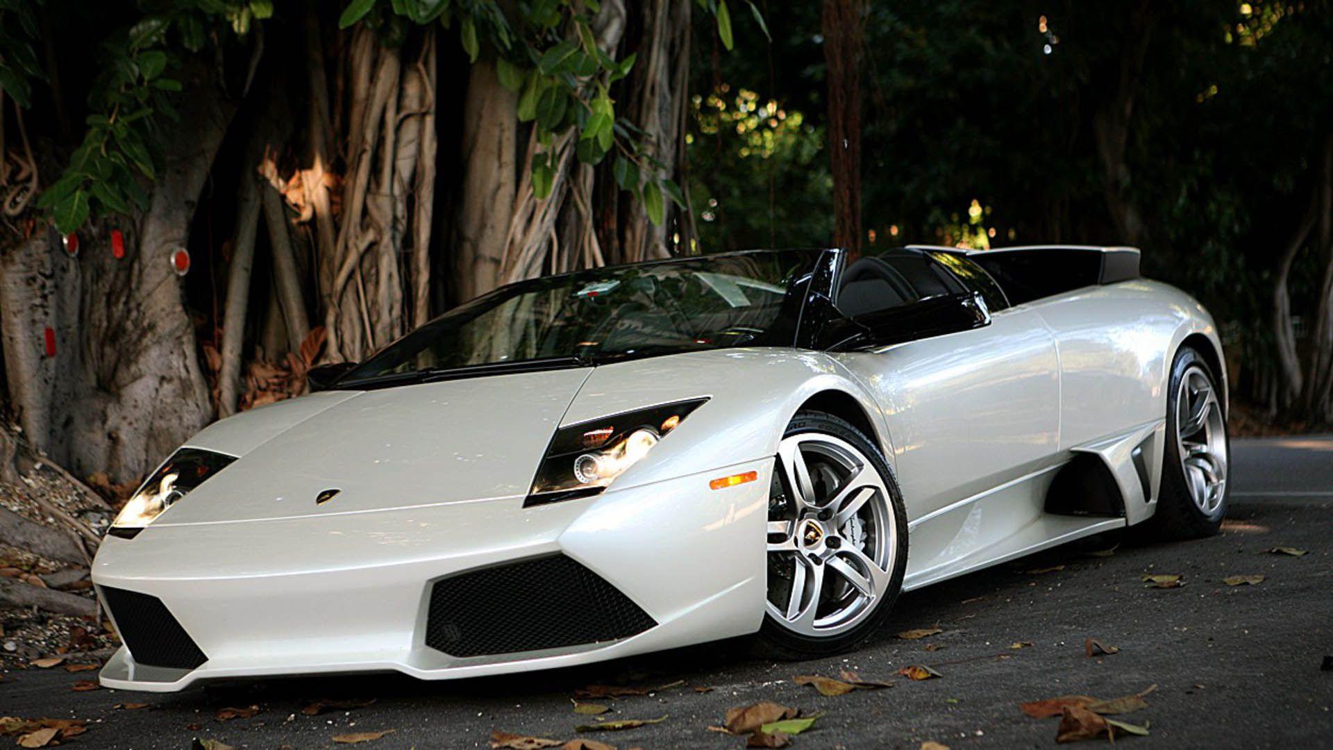 Lamborghini White Wallpaper HD