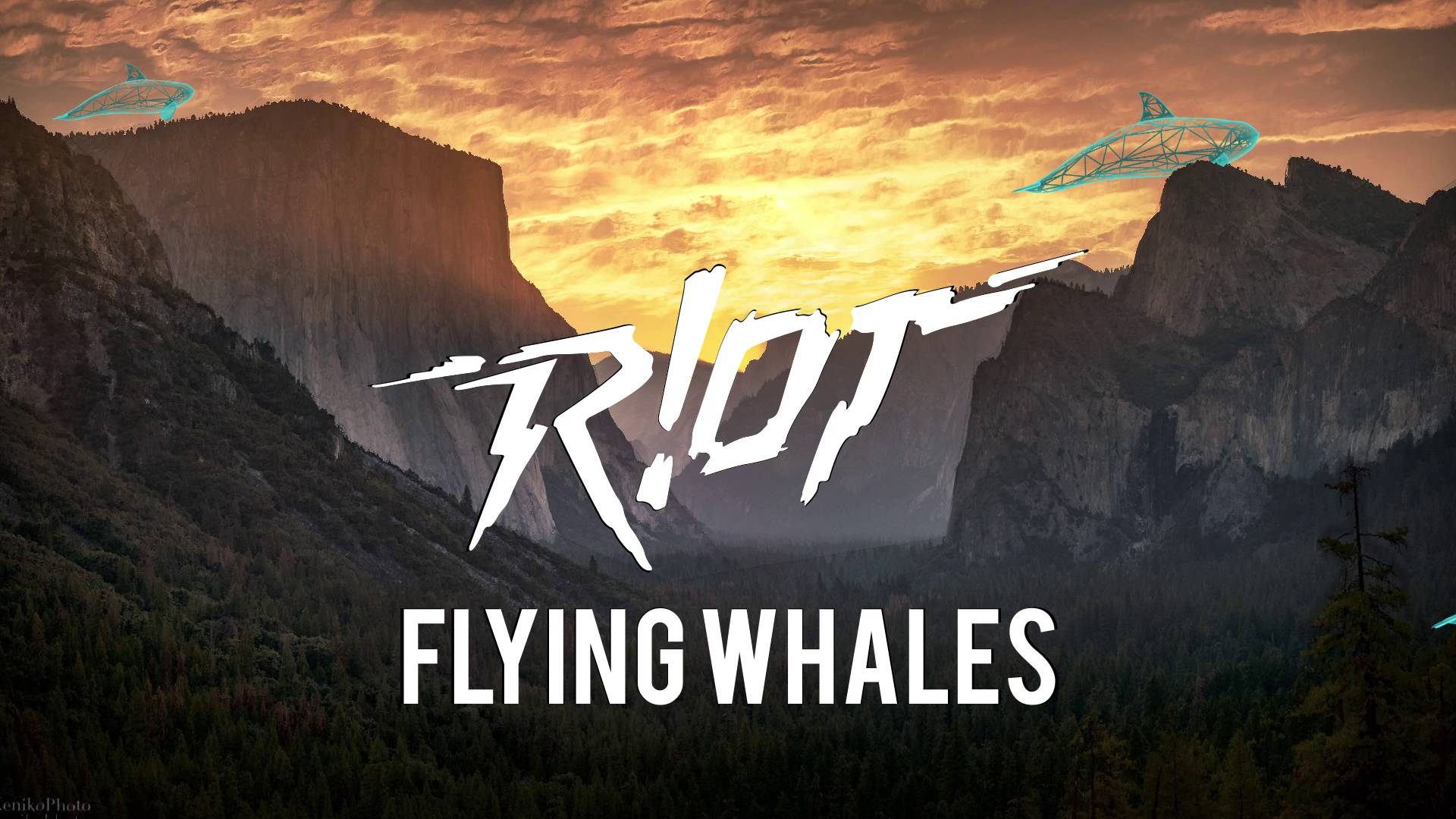 R!OT Whales (Original Mix)