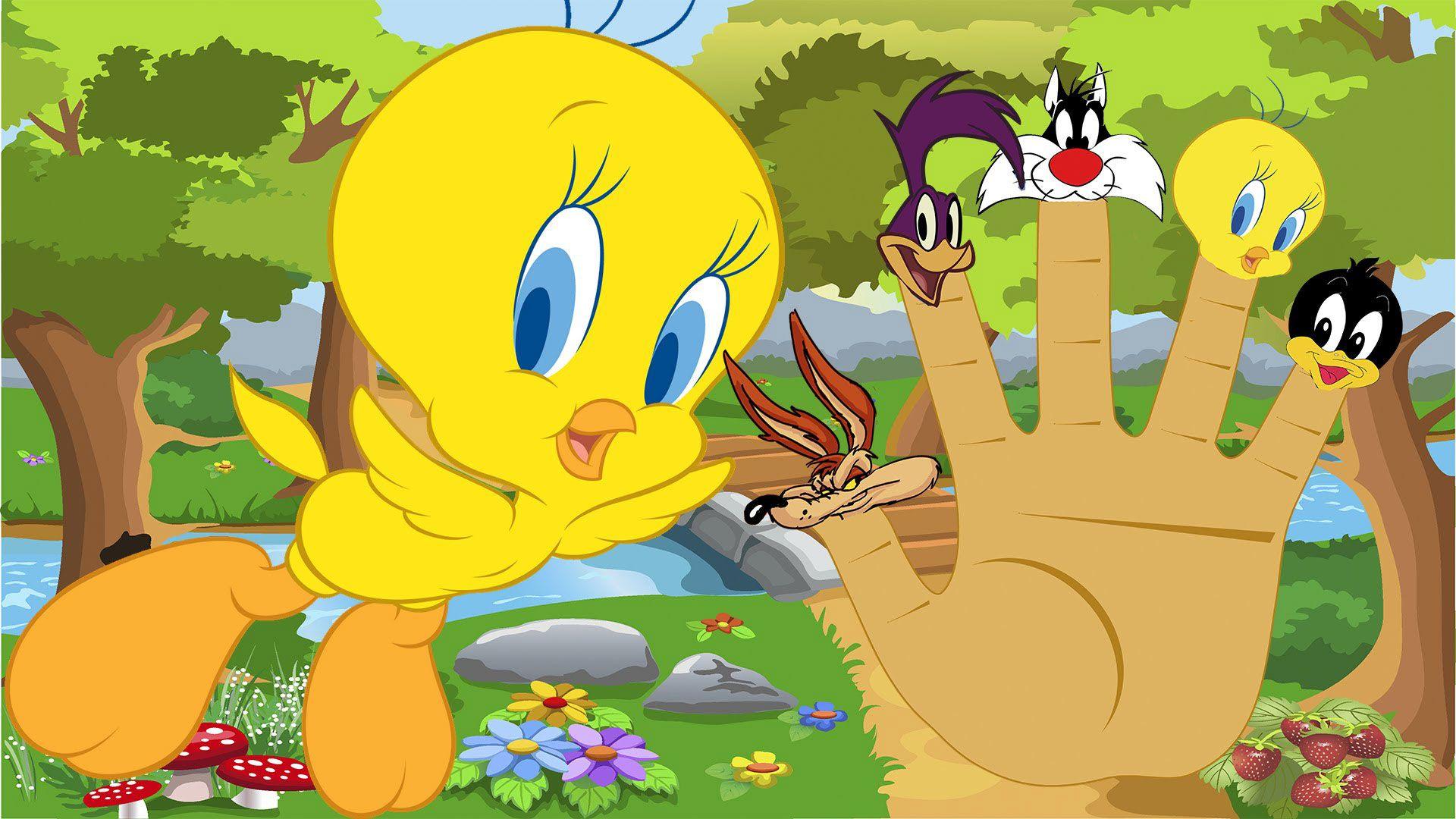 tweety bird wallpaper HD