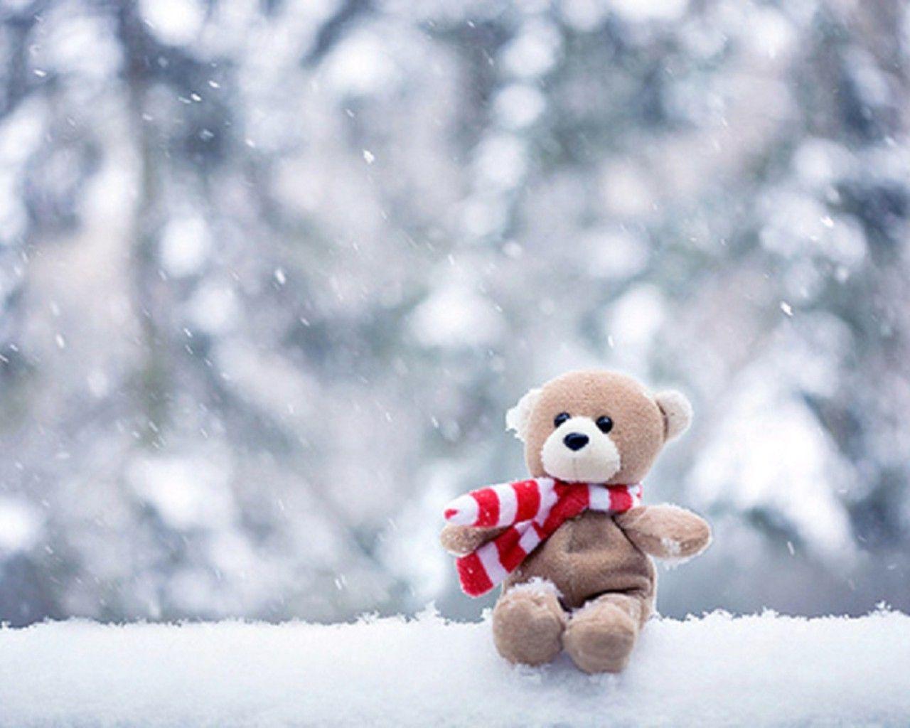 Teddy Bear On Snow Fall Wallpaper HD Wallpaper