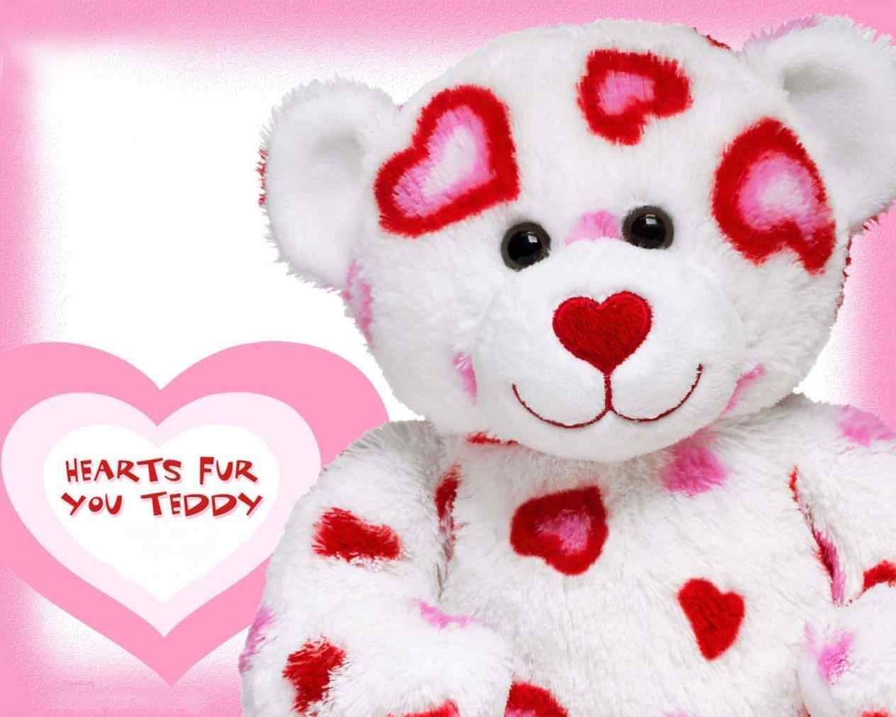 Lovely And Beautiful Bear Wallpaper Download Teddy Bears With