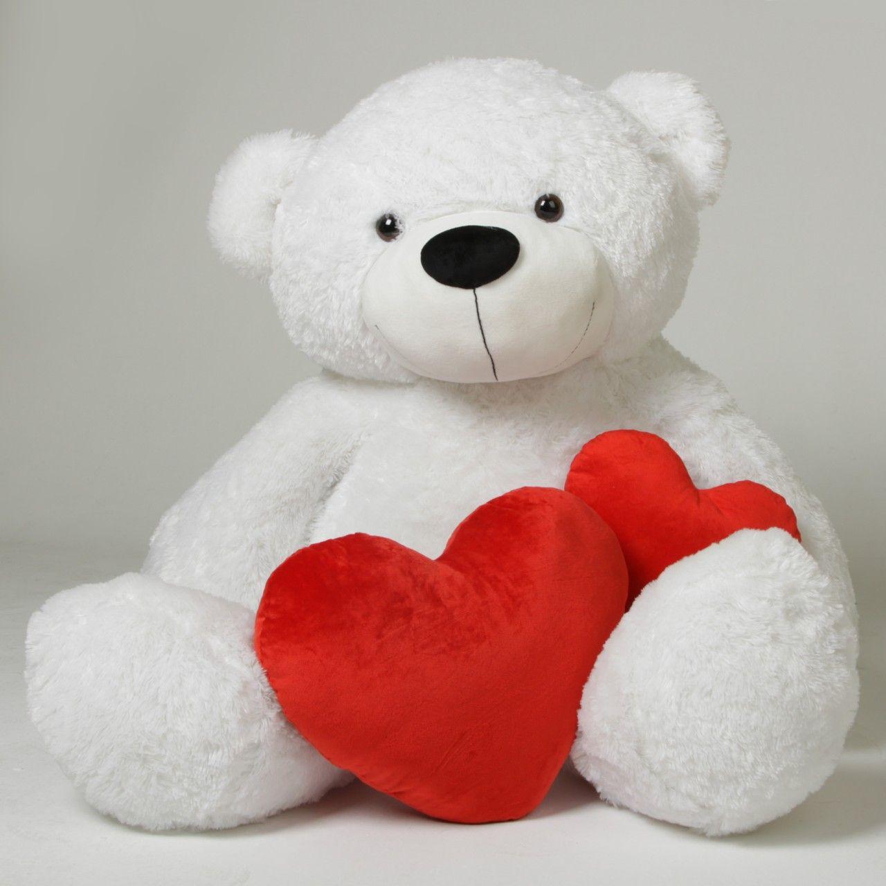 image Of Teddy Bear (44)