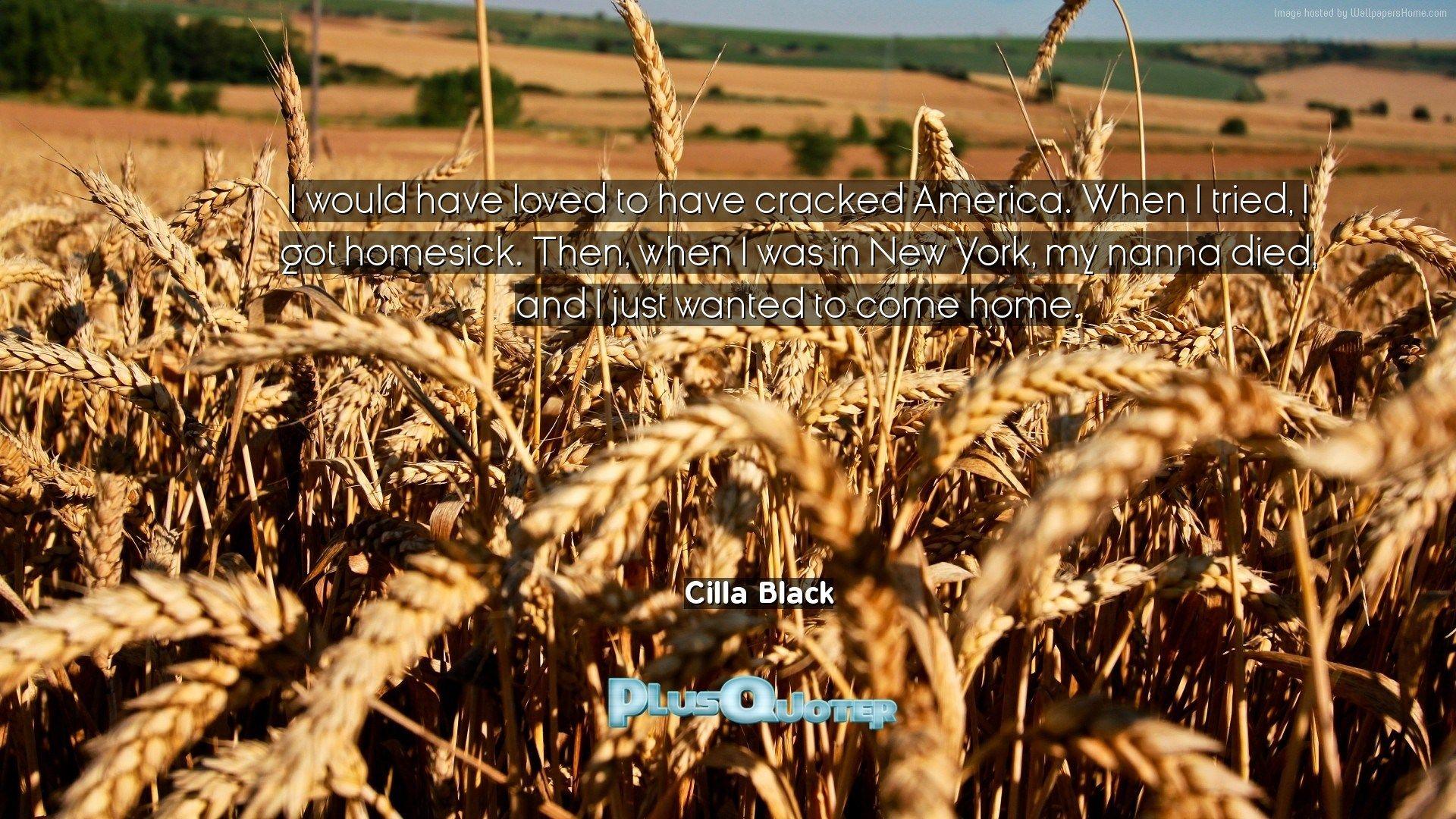 I would have loved to have cracked America. When I tried, I got