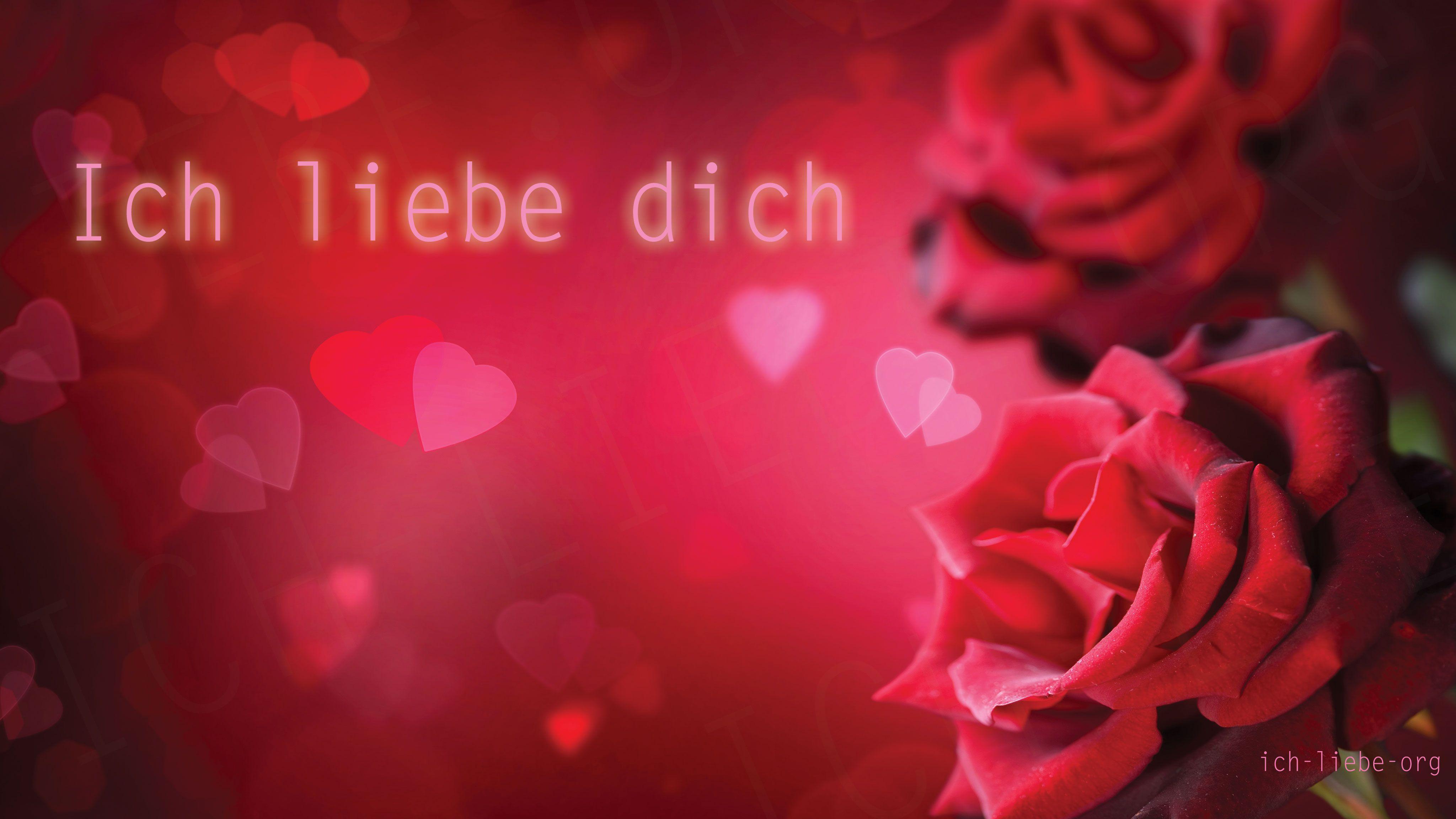 Ich Liebe Dich Wallpaper Schatz Rot