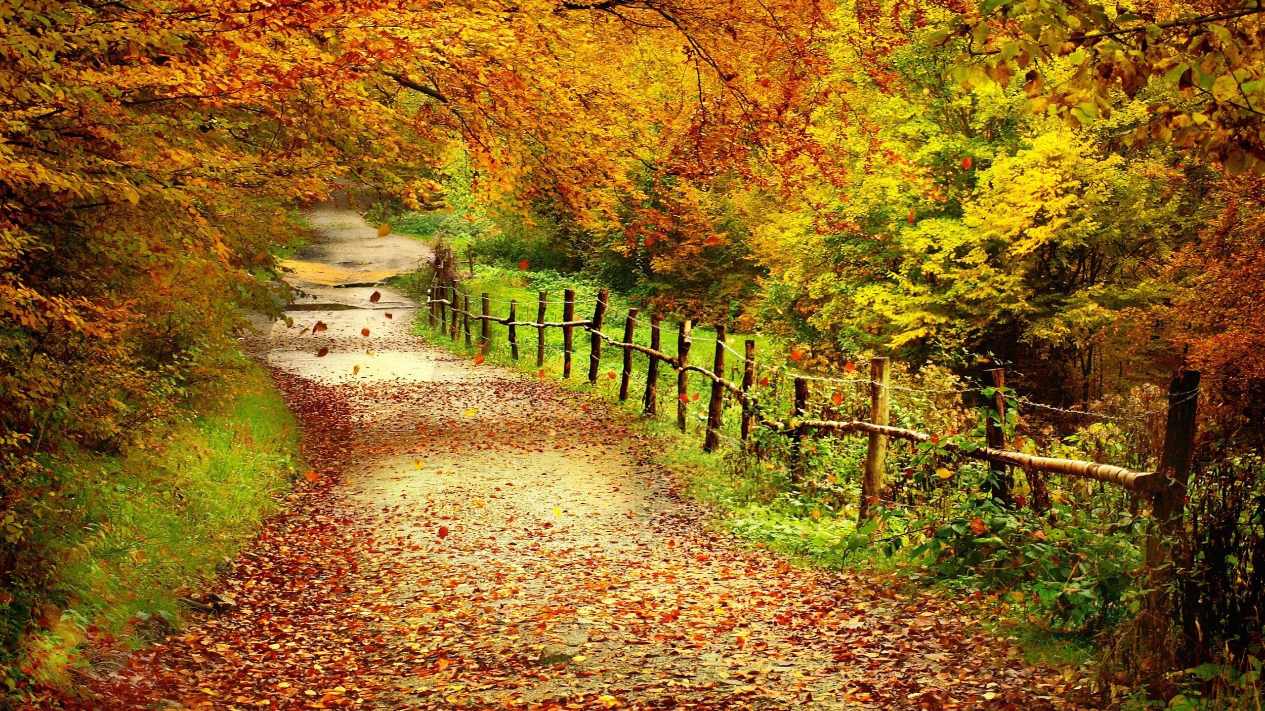 Autumn Love Wallpaper Landscape Background Wallpaper