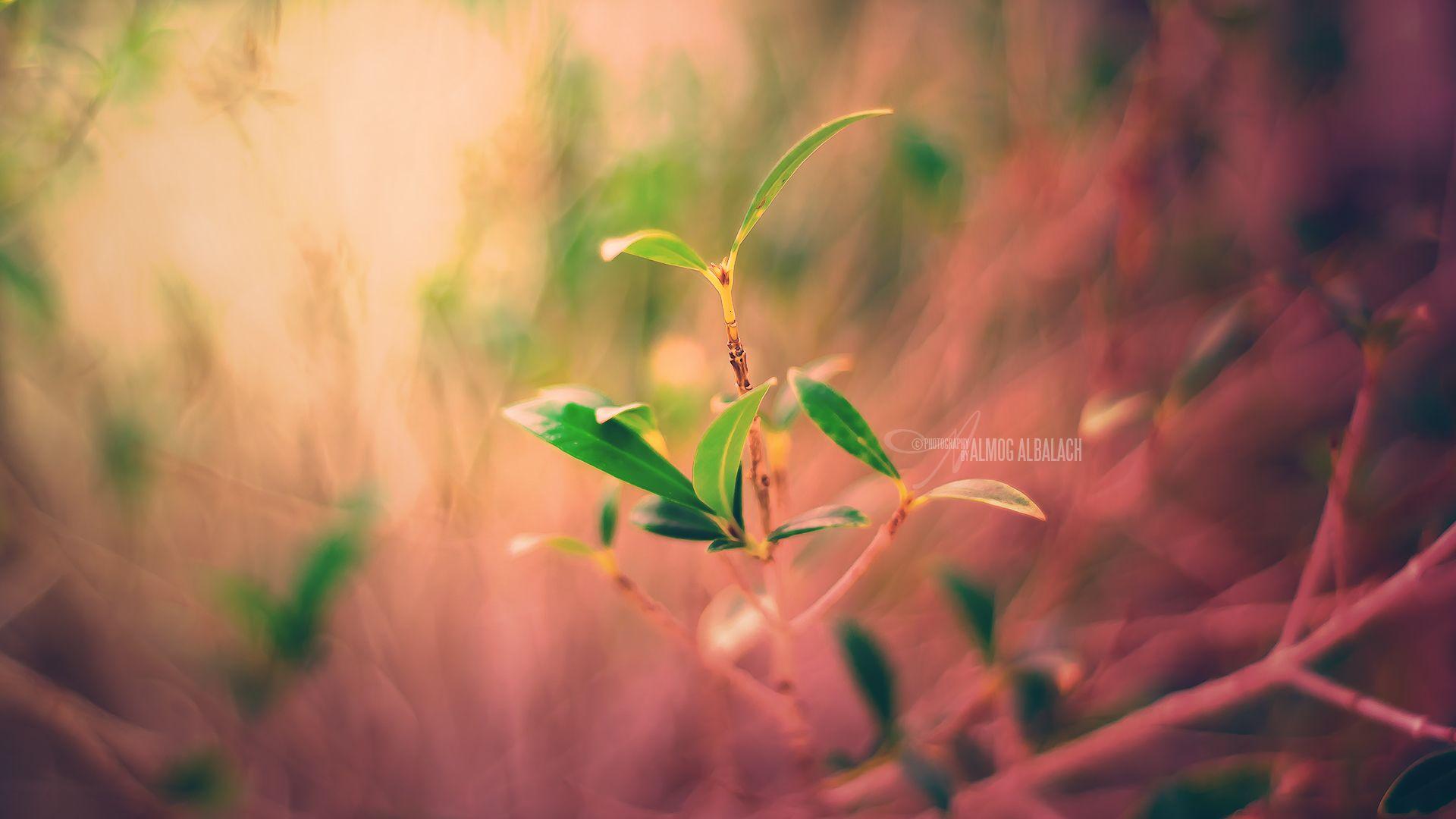 Download New HD Wallpaper