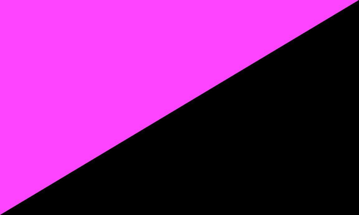 Queer Anarchy / Anarcha Queer By Pride Flags