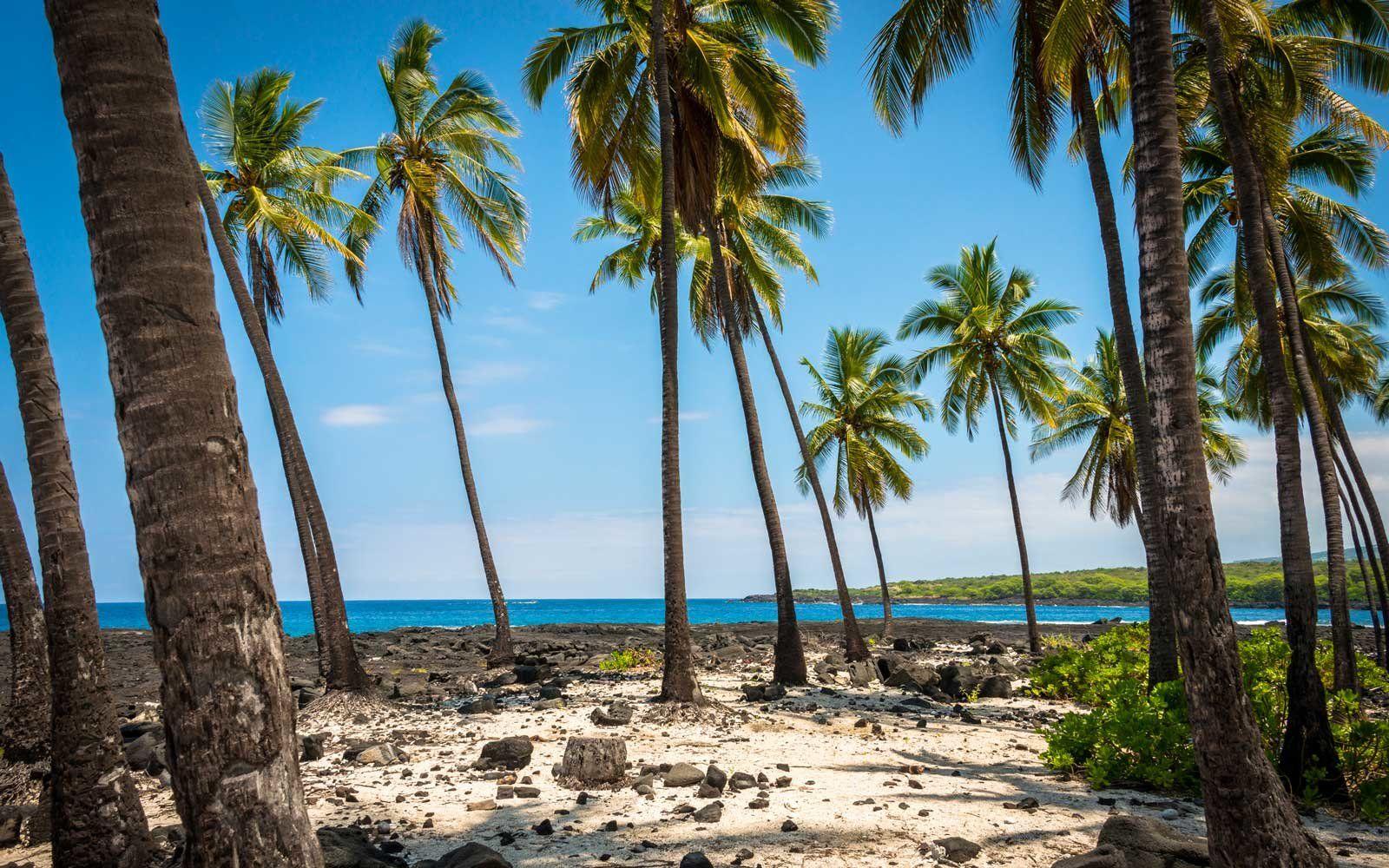 Flights to Hawaii Could Soon Be Cheaper Than Ever. Travel + Leisure