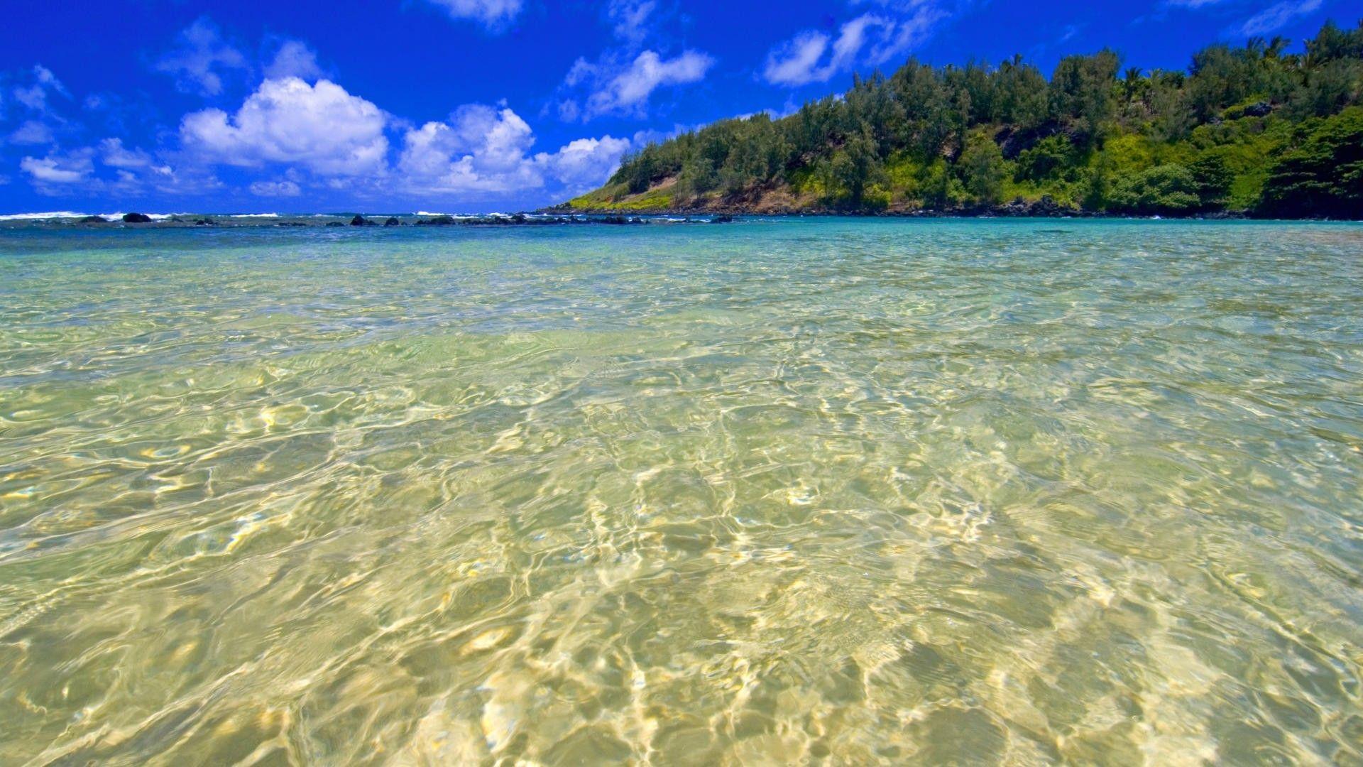 Sea Ocean: Turquoise Hawaii Photo Background Image Nature for HD 16