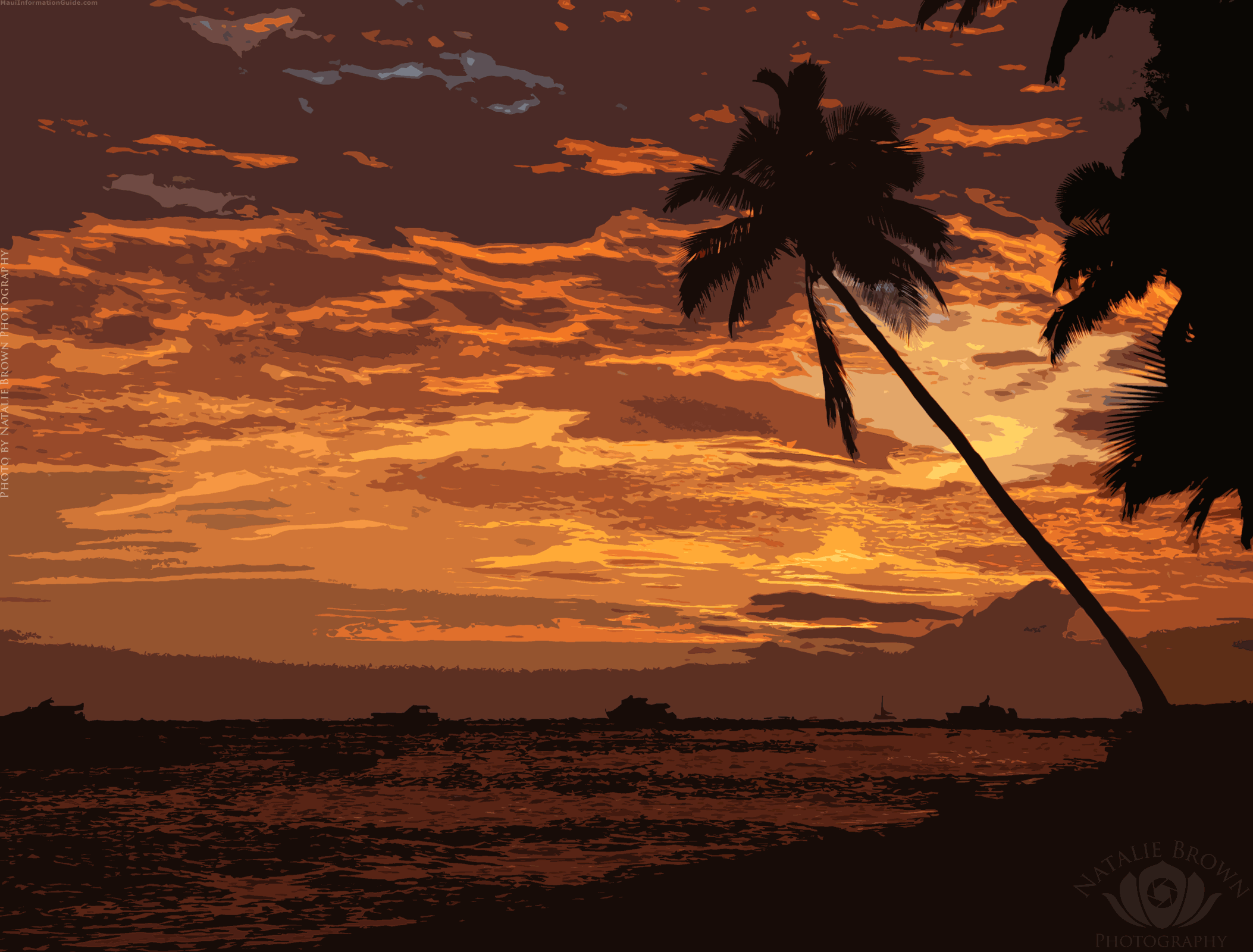 Hawaii Background for Twitter