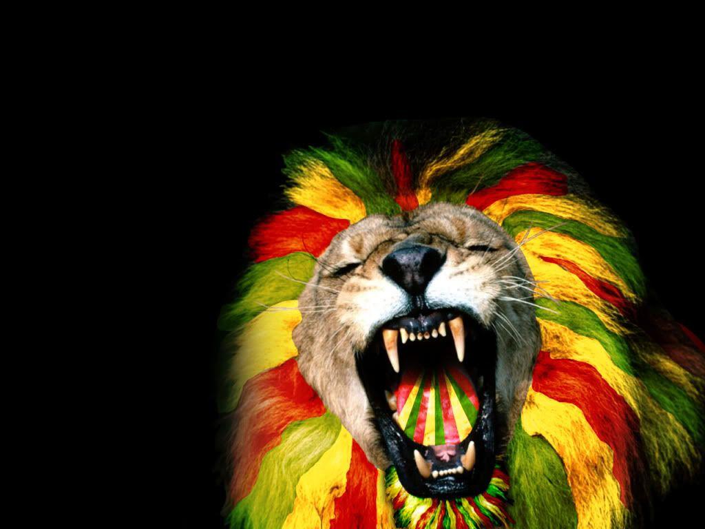 Download Reggae Lion Wallpaper 1024x768