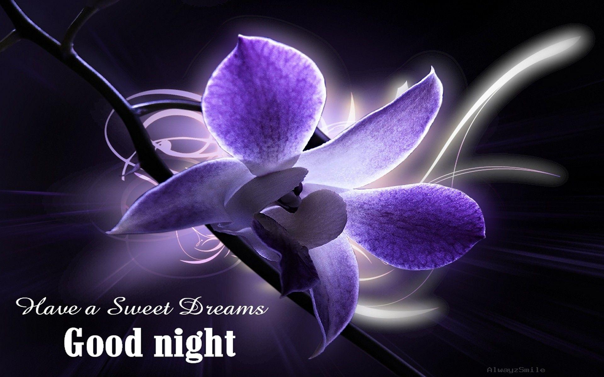 good night wallpaper HD resolution for desktop wallpaper. sekspic