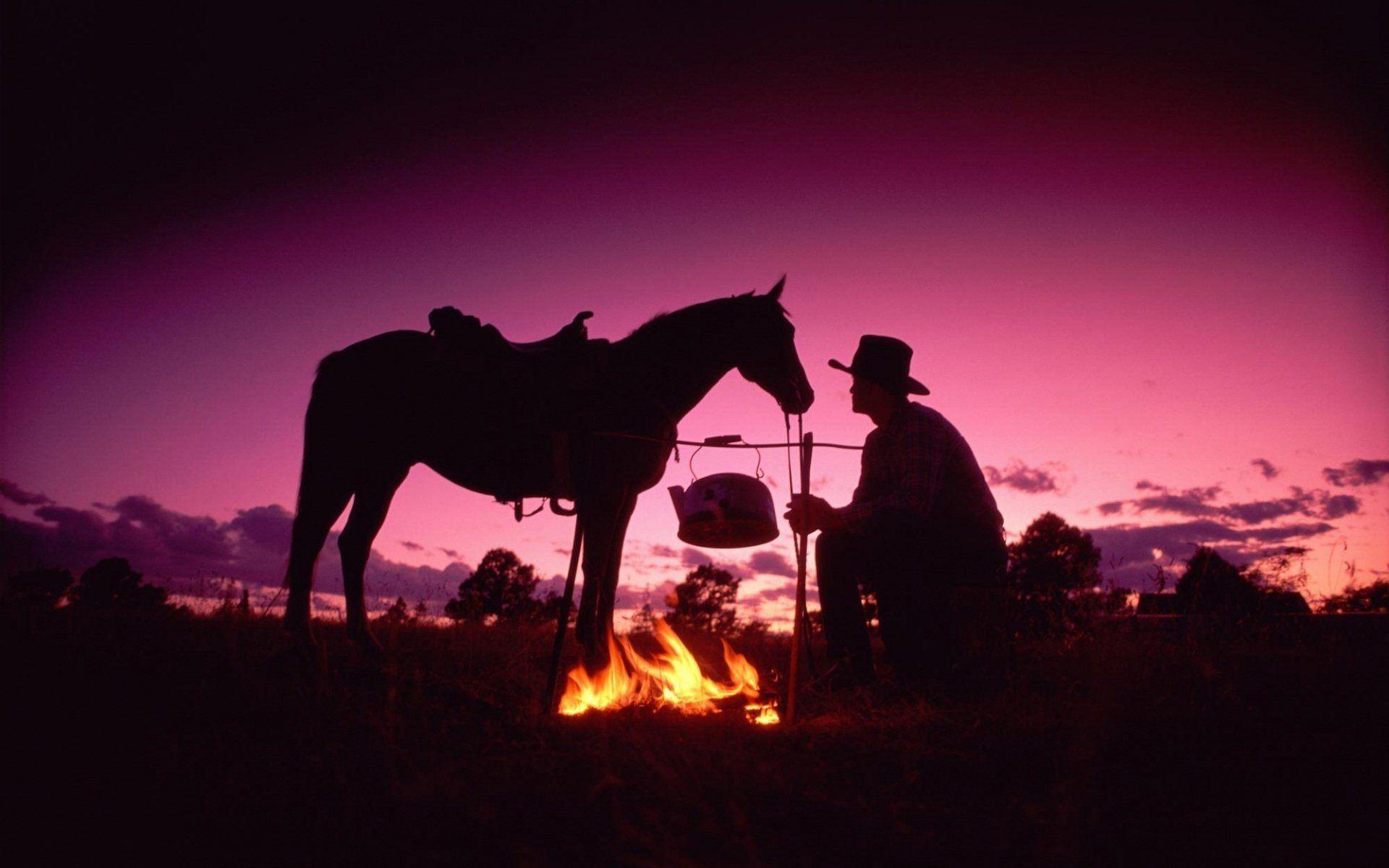 350 Cowboy Pictures HD  Download Free Images  Stock Photos on Unsplash