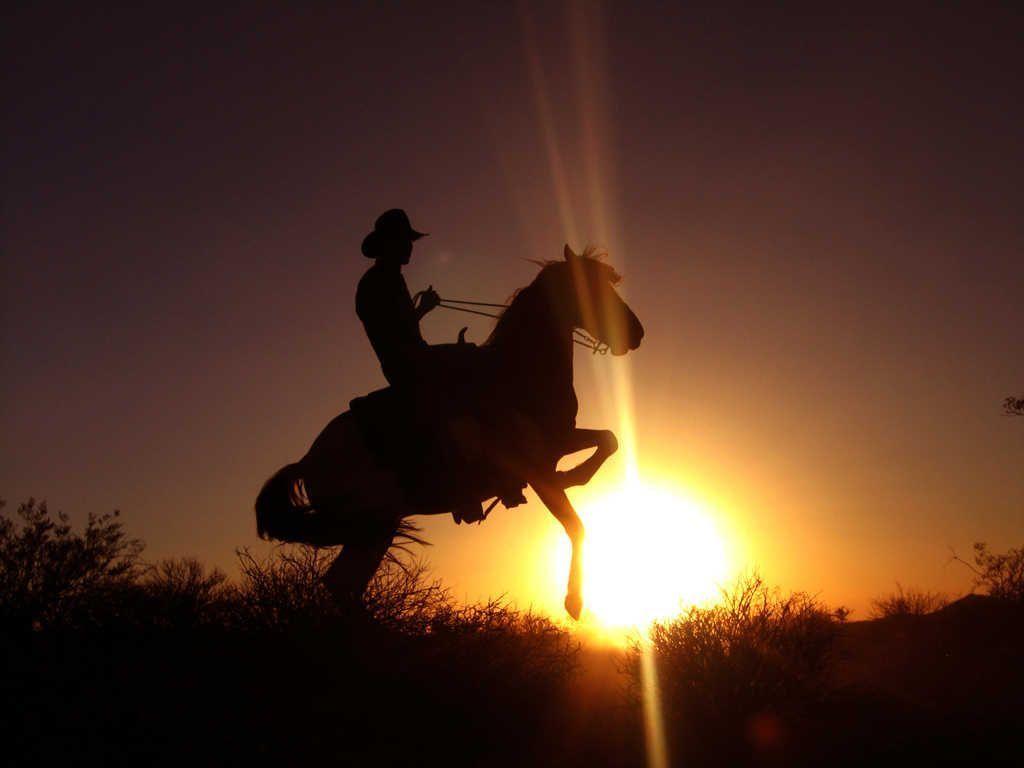 Beautiful Cowboy Image and Wallpaper download for free