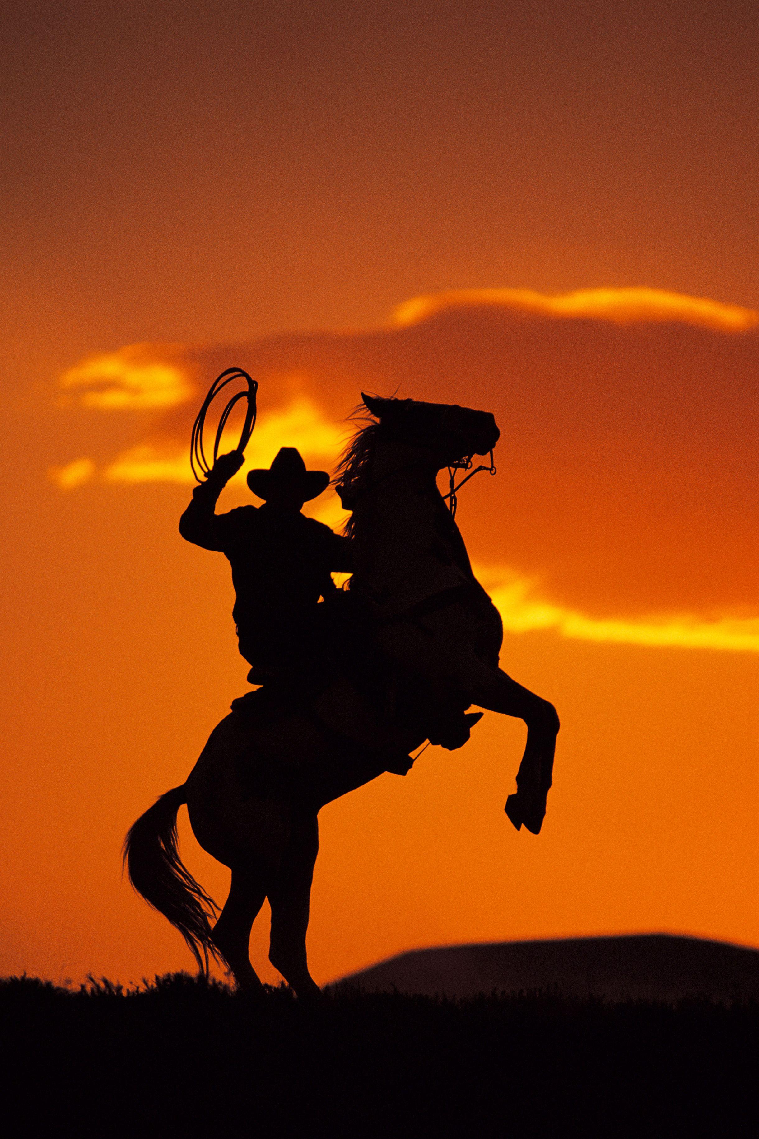 Cowboy Picture, Amazing Cowboy Wallpaper Collection (42). IE.W