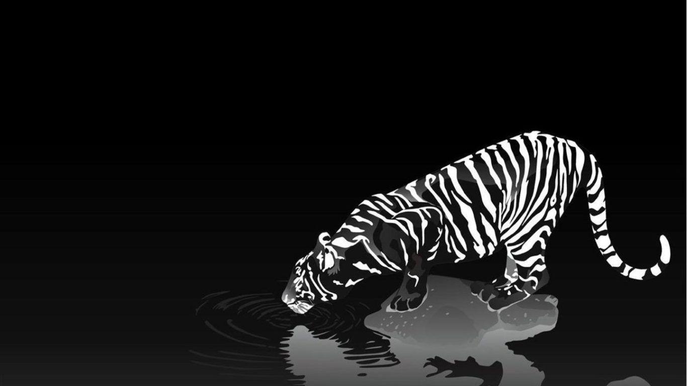 black and white swimming picture HD wallpaper 3D. HD Desktop, UHD