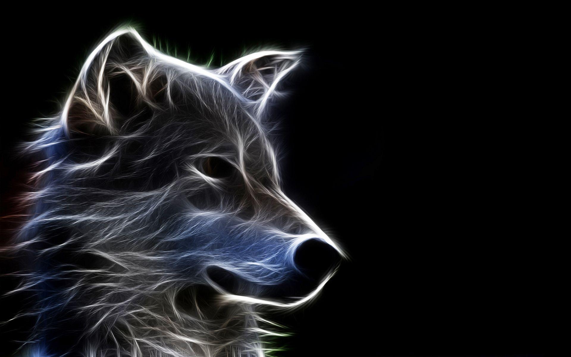 Dark Wolf Wallpaper download for free