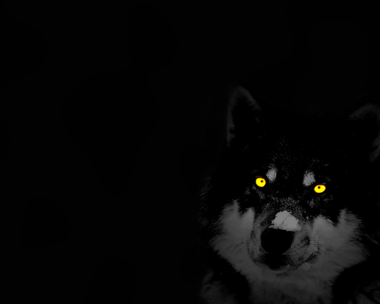 wolf picture with black background. Windows 10 arrives on July 29
