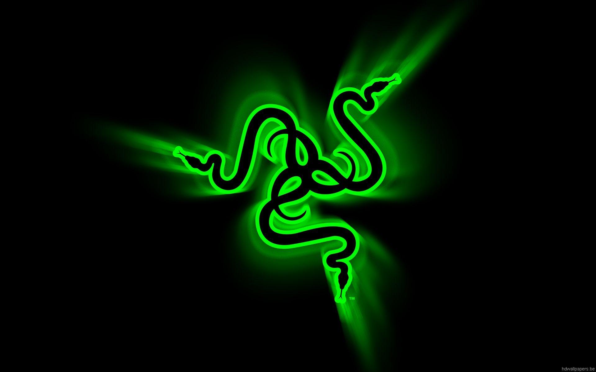Black wallpaper with green snakes wallpaper and image