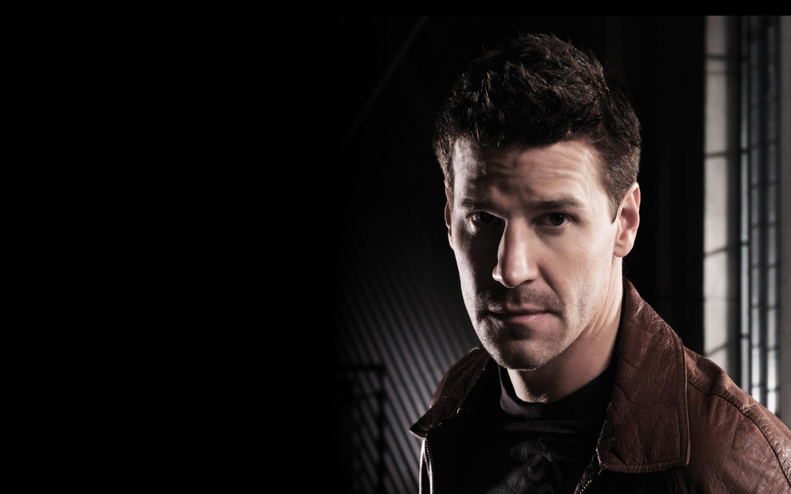 Hollywood Actor David Boreanaz