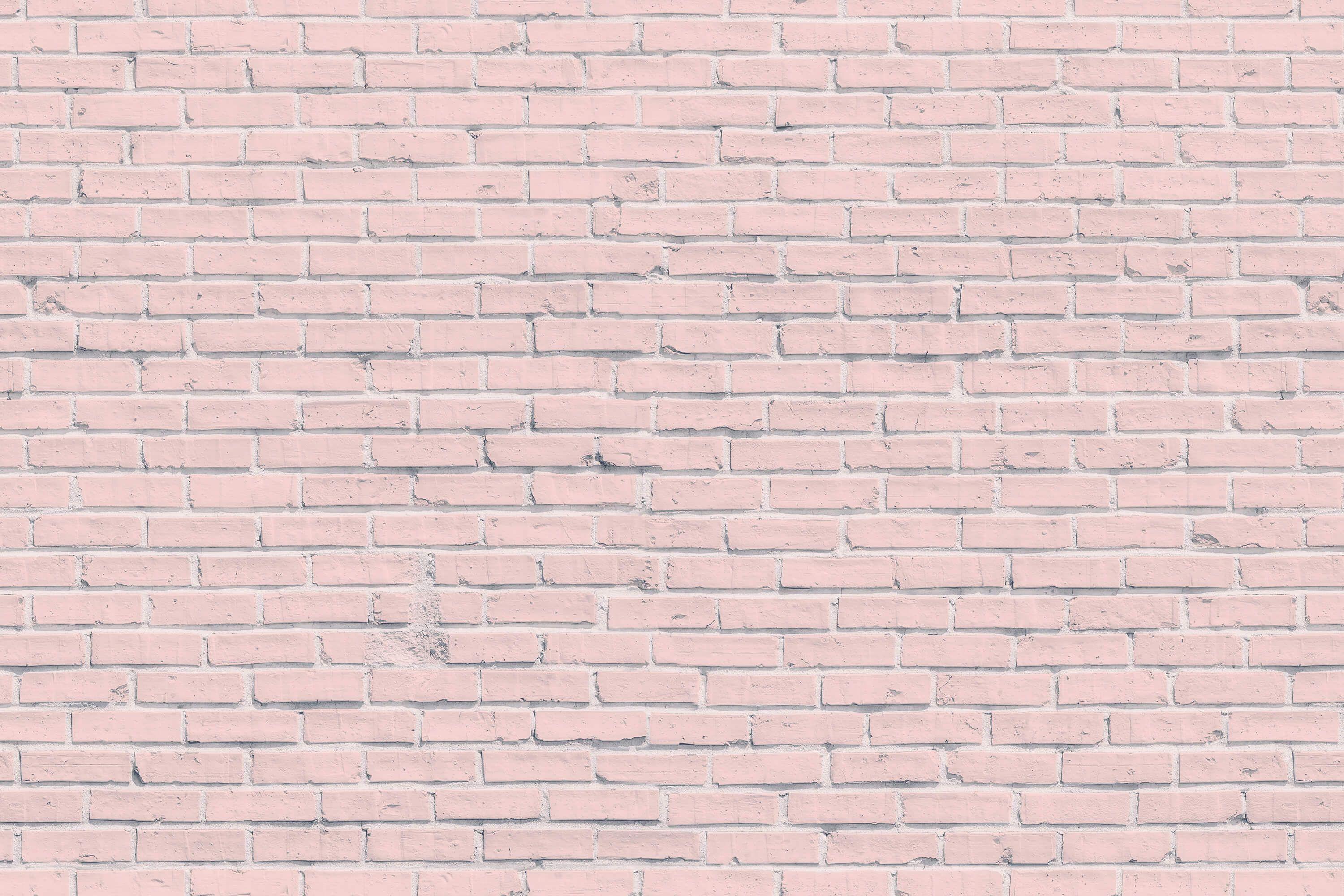 Pink Brick Wall Mural. Blush pink, Wall murals and Bricks